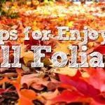 5 Tips for Enjoying the Fall Foliage