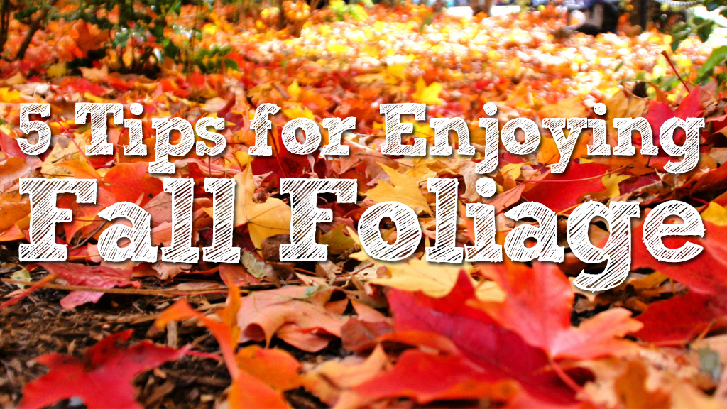 5 Tips for Enjoying the Fall Foliage