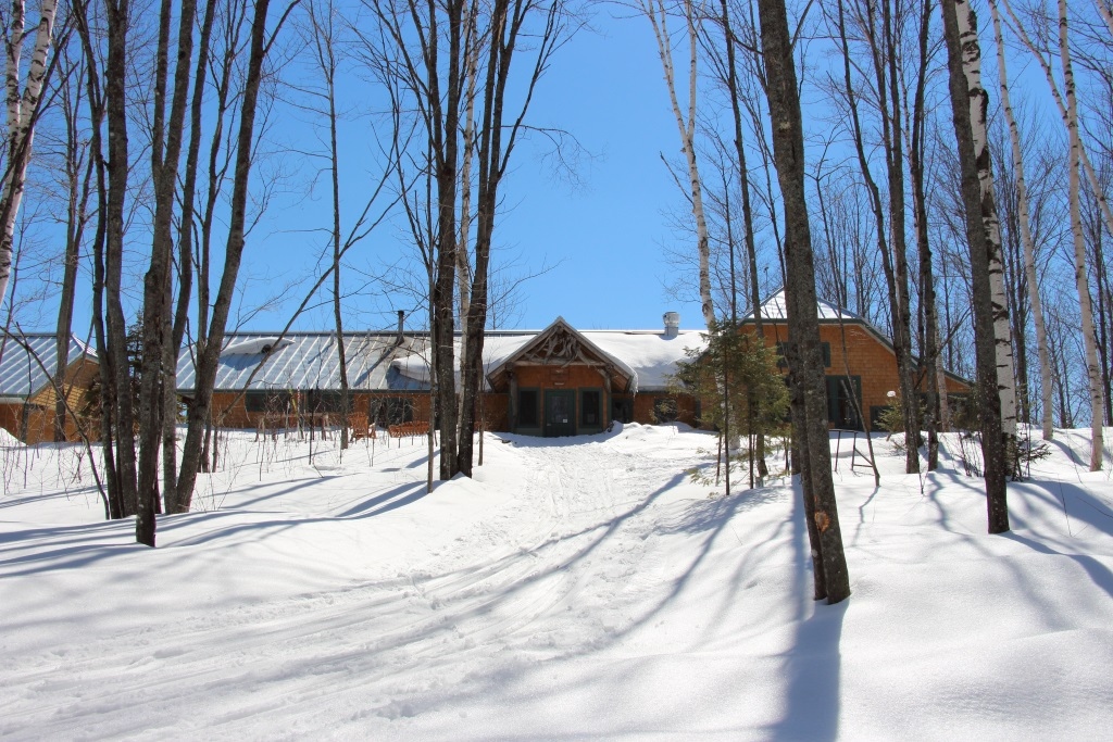 Image of the large, wood Flagstaff Lake Hut nestled in the trees with a snowy foreground and a cross country ski trail.