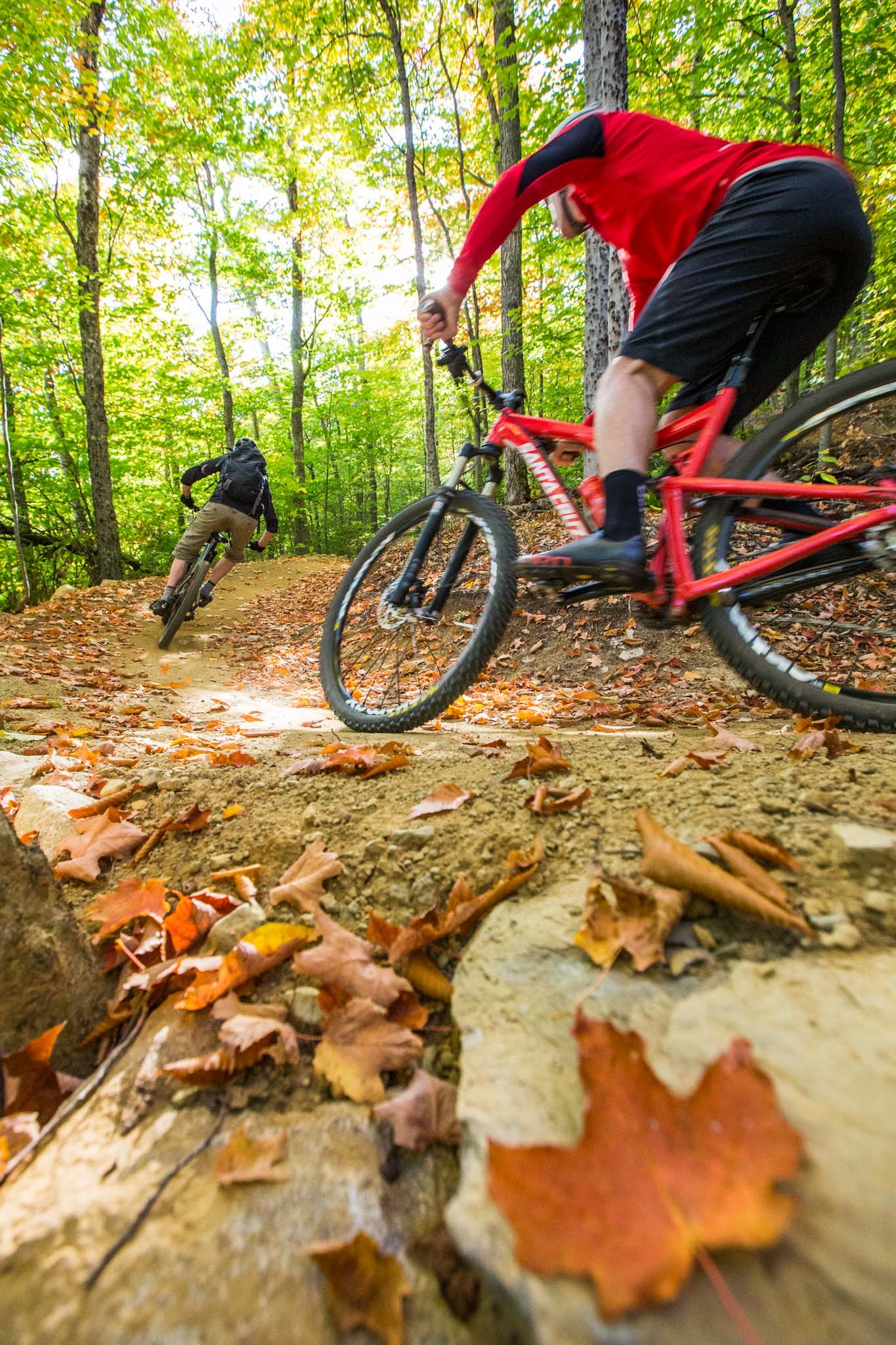 Fall mountain biking around Stratton Brook Hut.