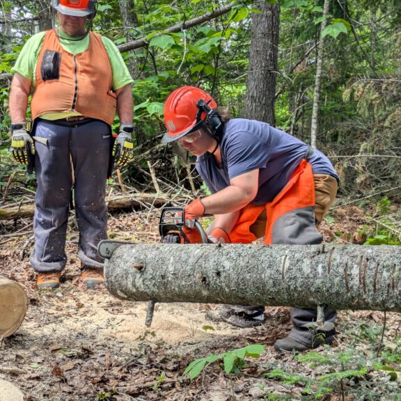 Woman chain sawing a tree