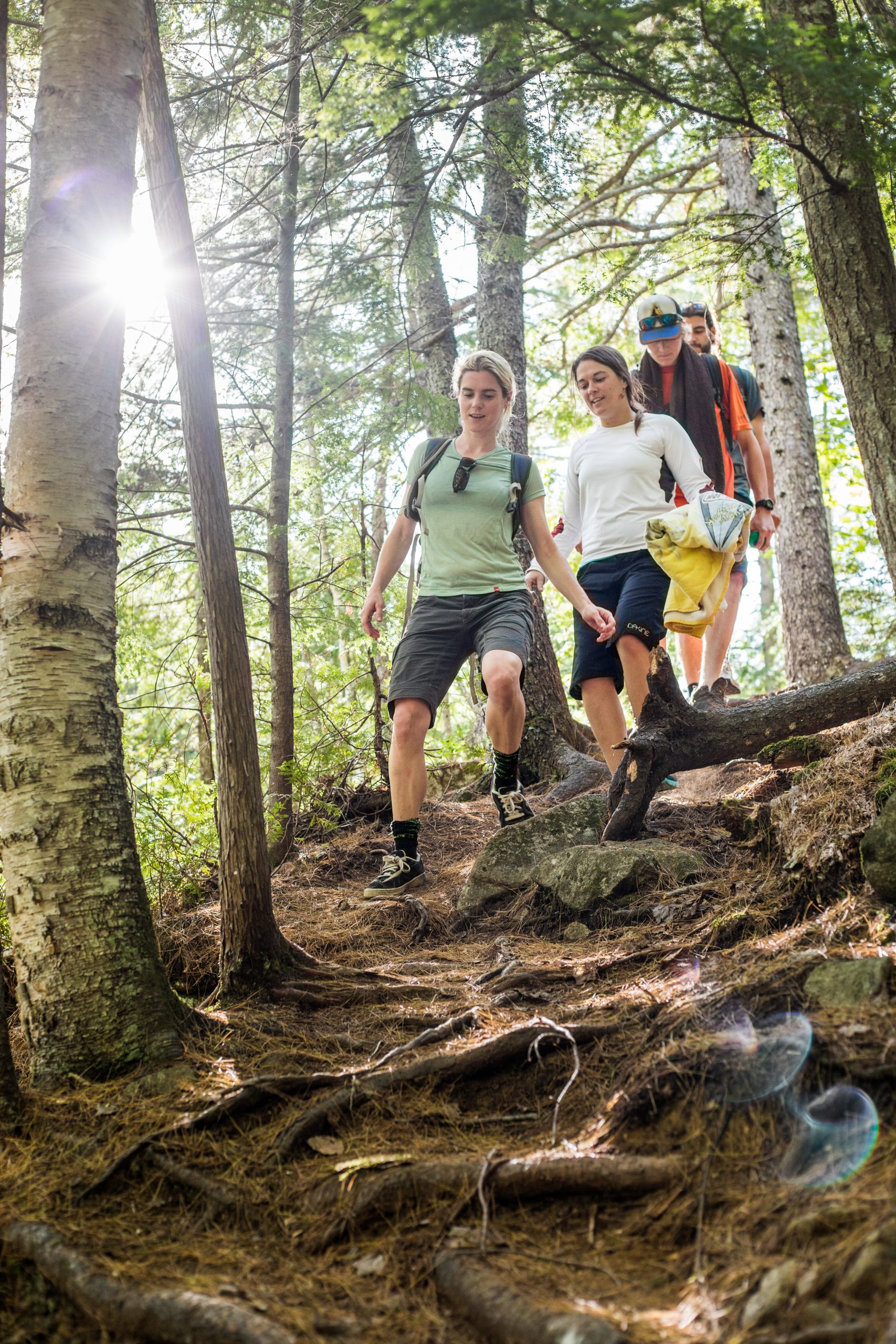 Hikers in summer on Larry's Trail.