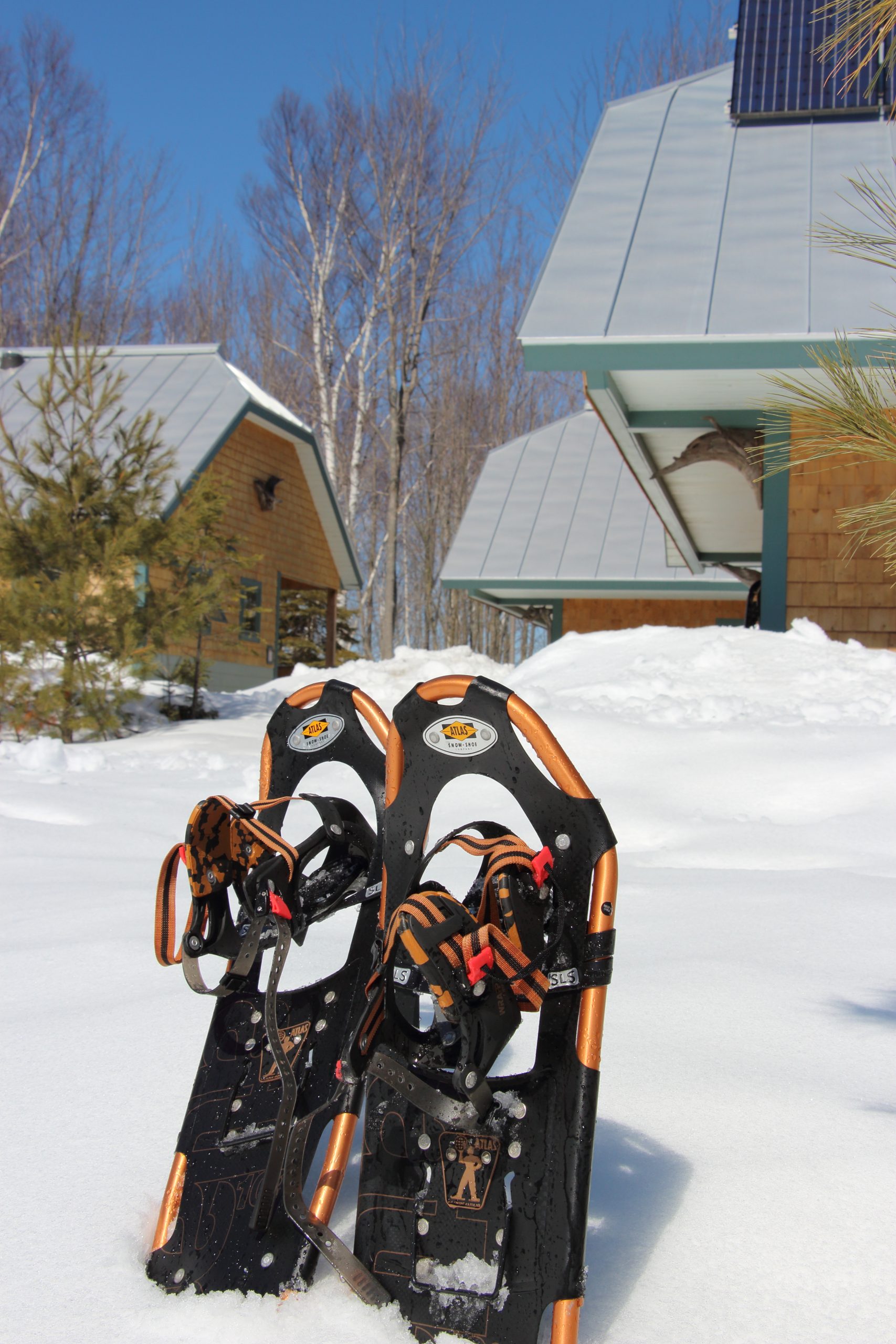 Snowshoes at Flagstaff