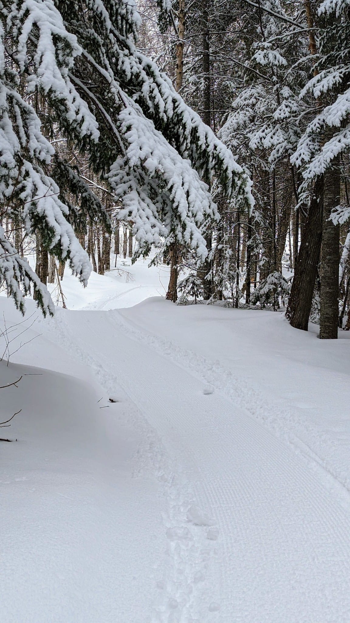 Groomed Crommett's Trail in Winter.