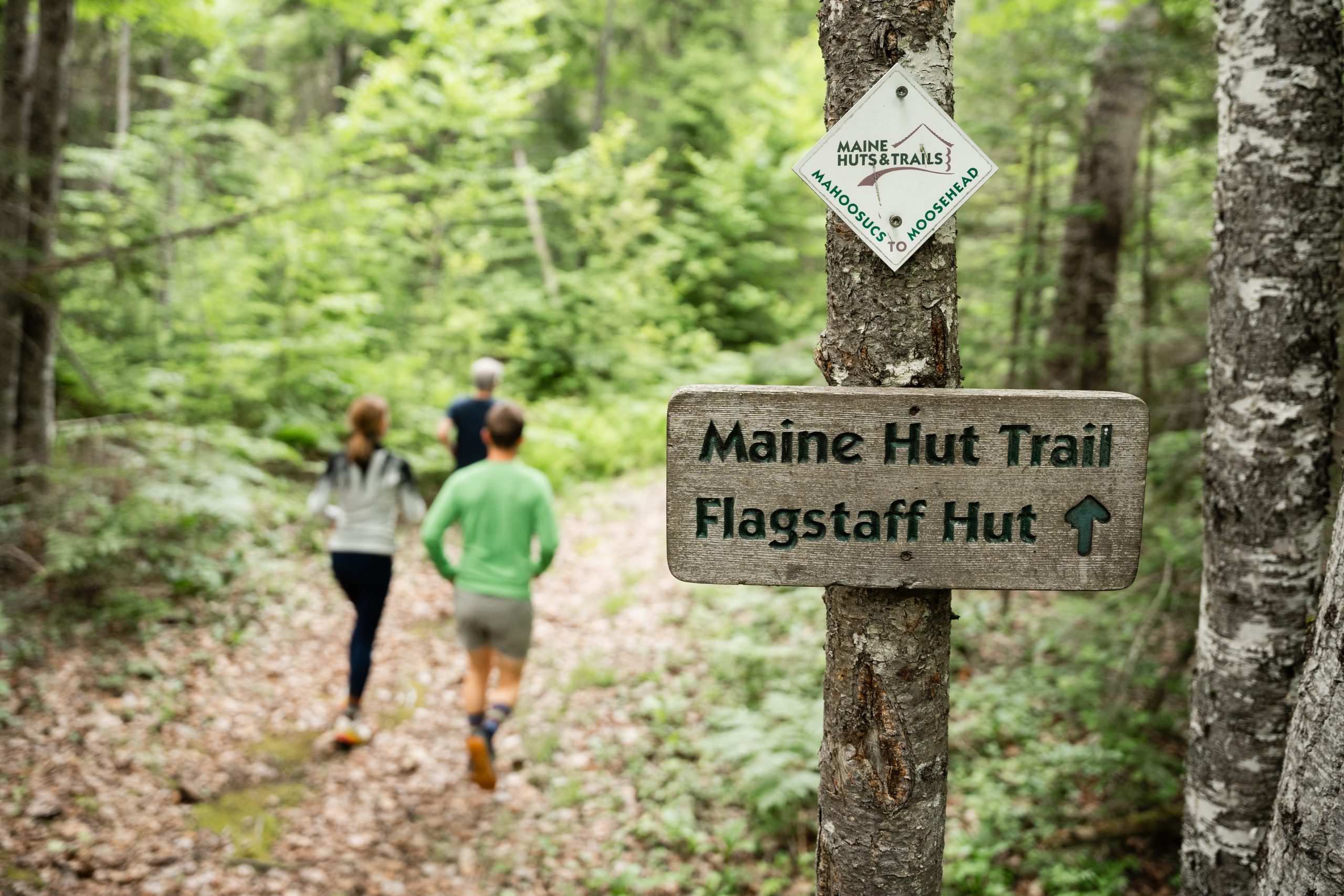 Runners on the Maine Hut Trail.