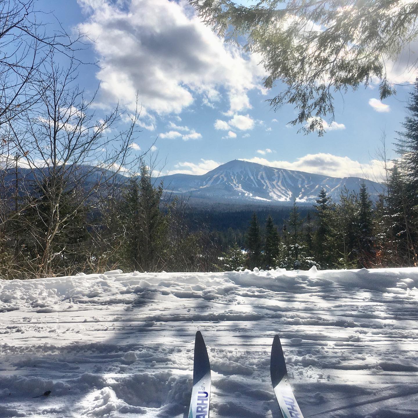 Crommett's Overlook