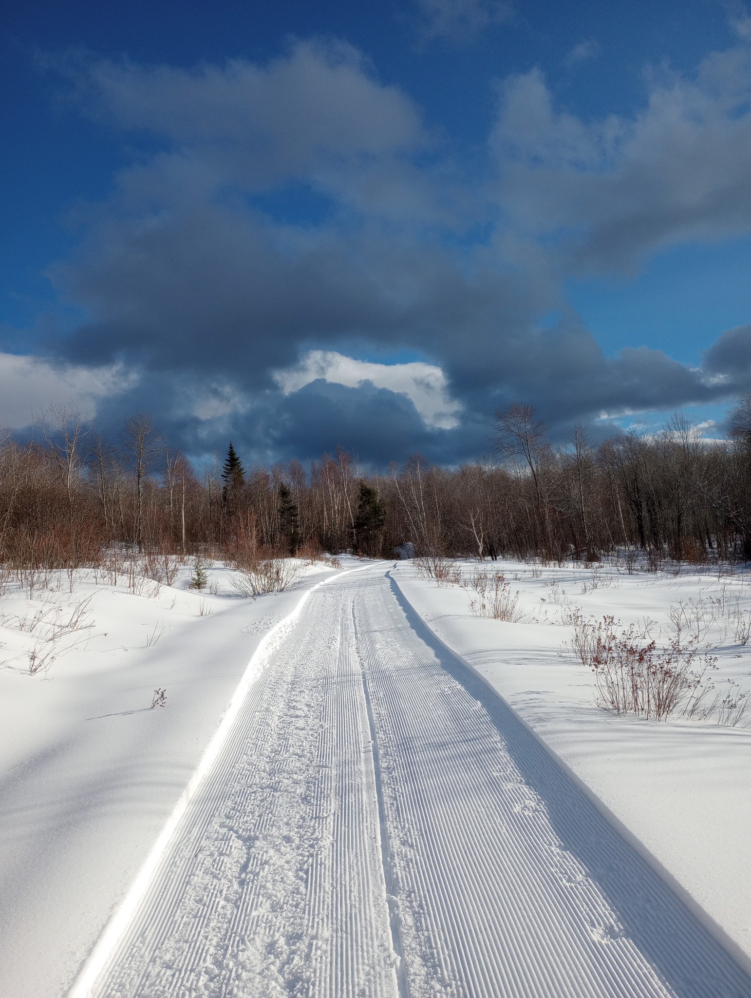 Maine Hut Trail in winter en route to the Halfway Yurt.