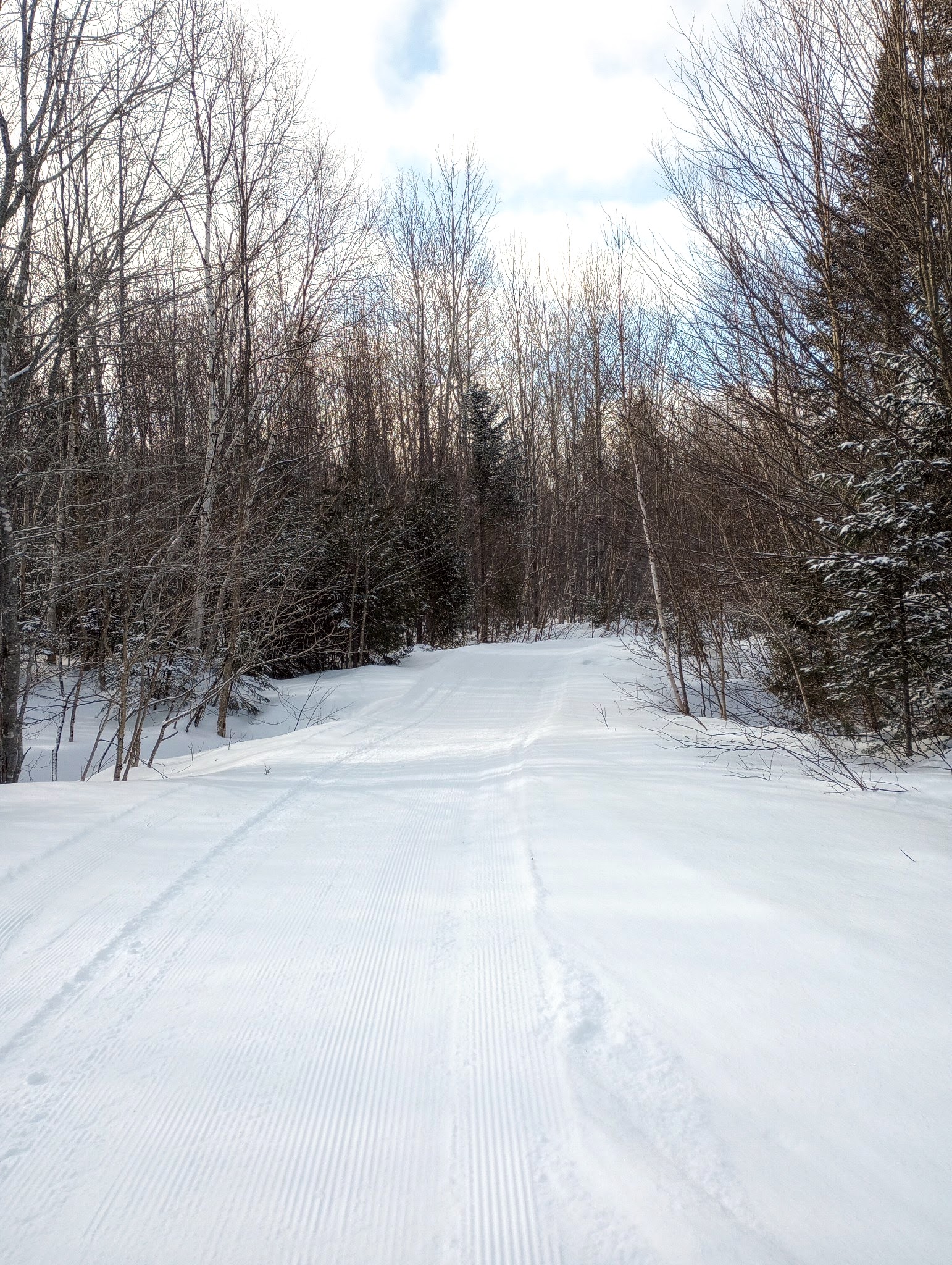 Groomed trail leading up to the Halfway Yurt.