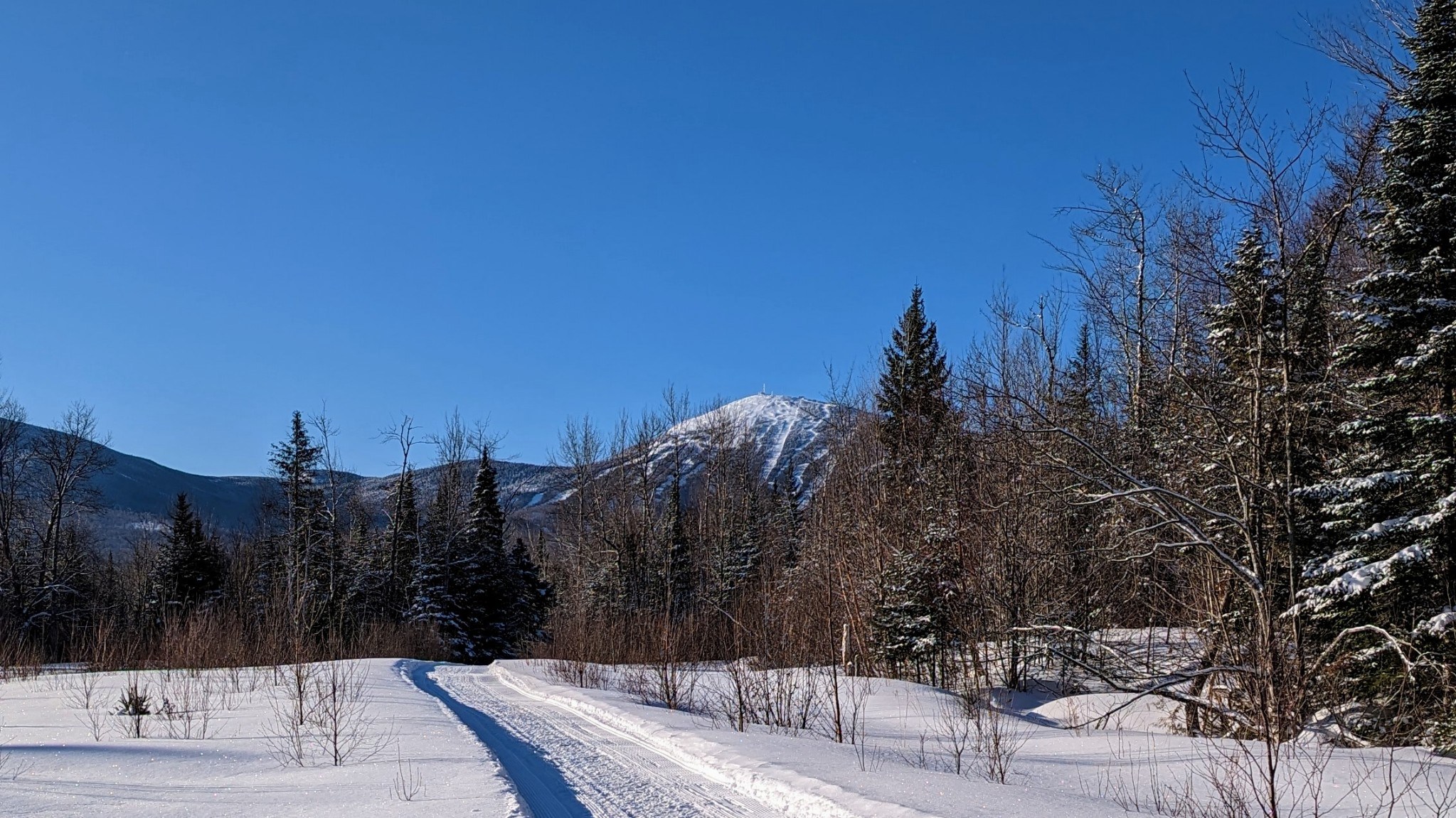 Lower Newton's Revenge groomed trail in winter with mountains in the background.