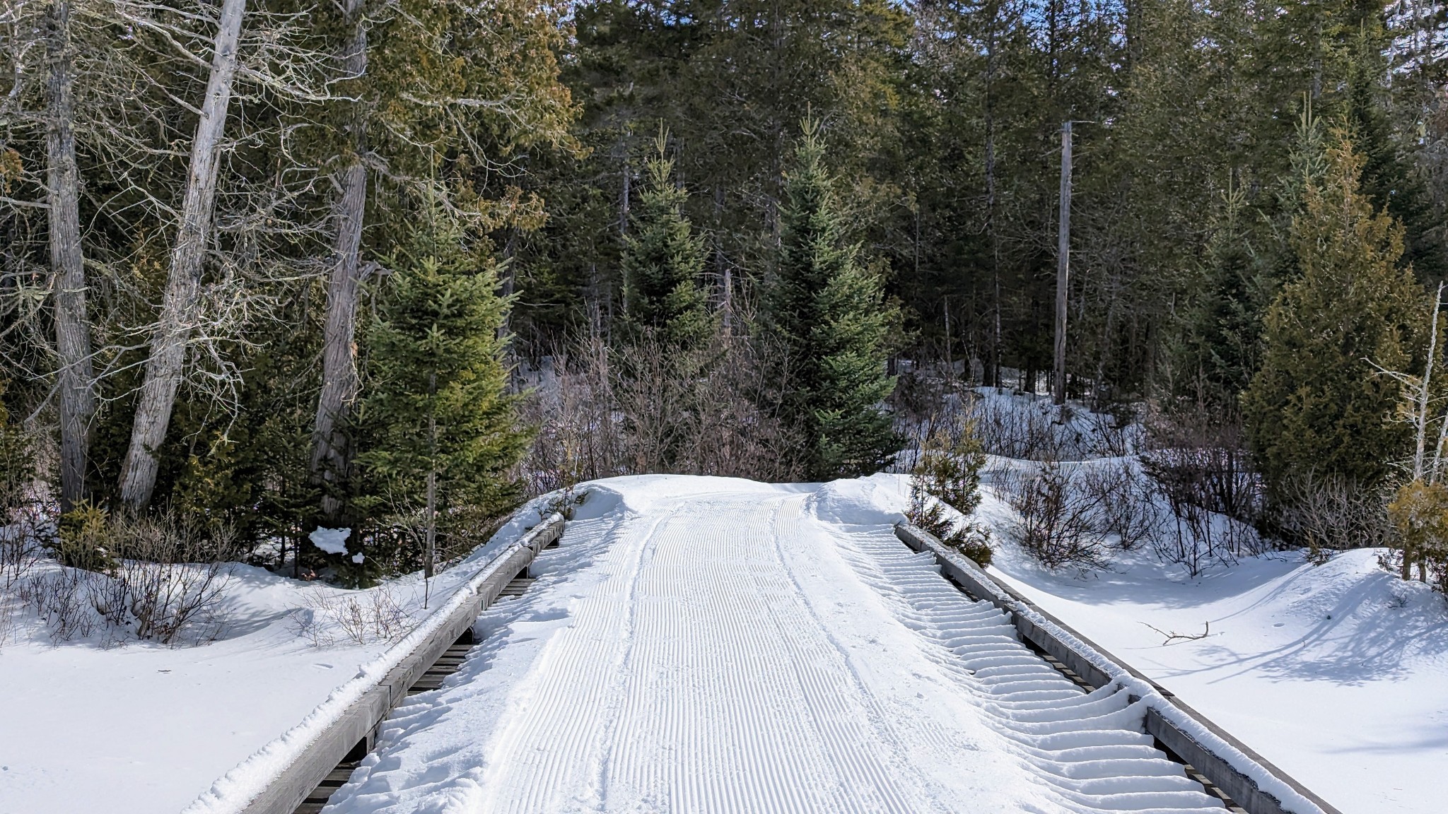 Bridge on the Sticky Trail.