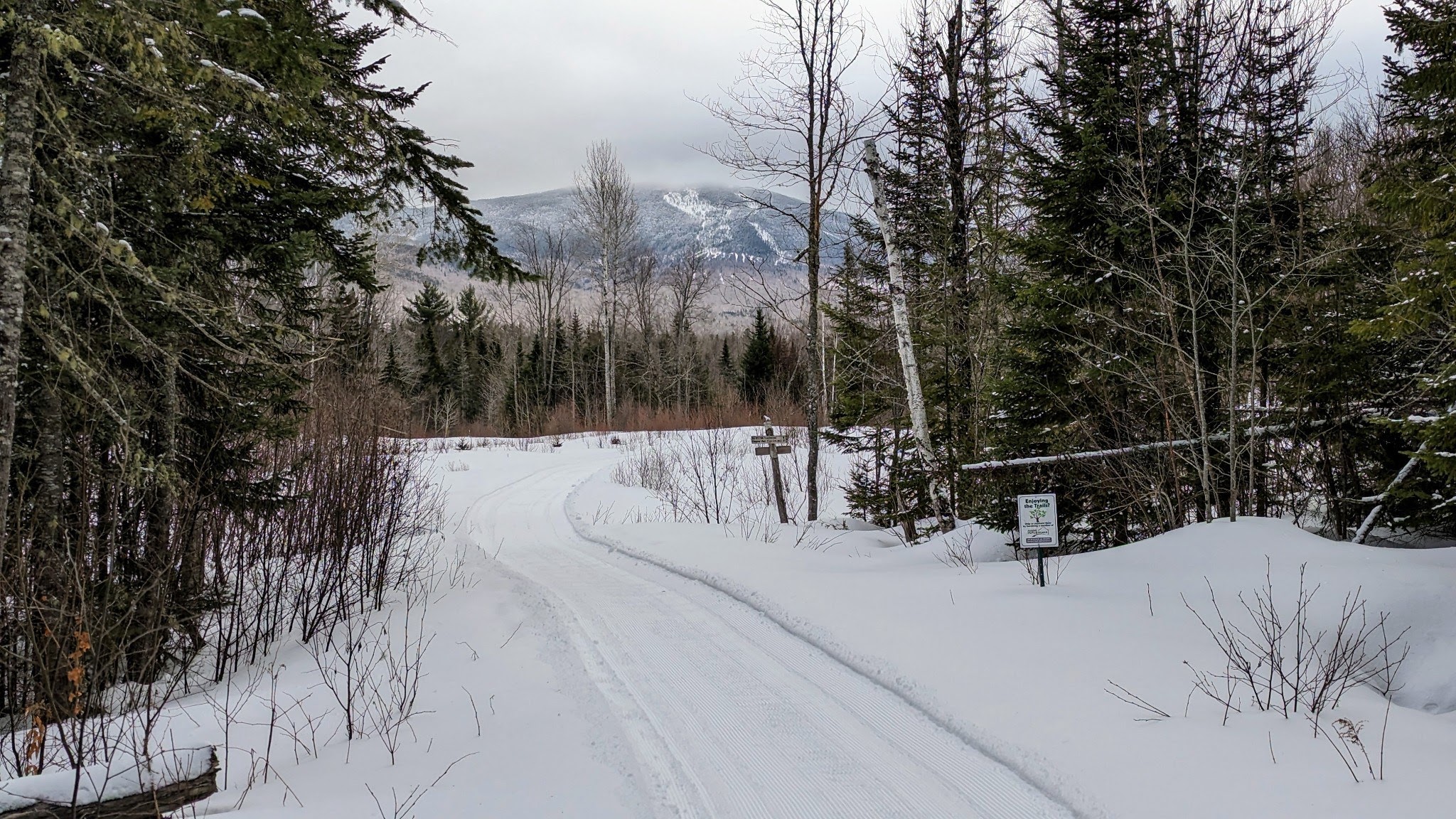 Lower Newton's Revenge Trail in winter.