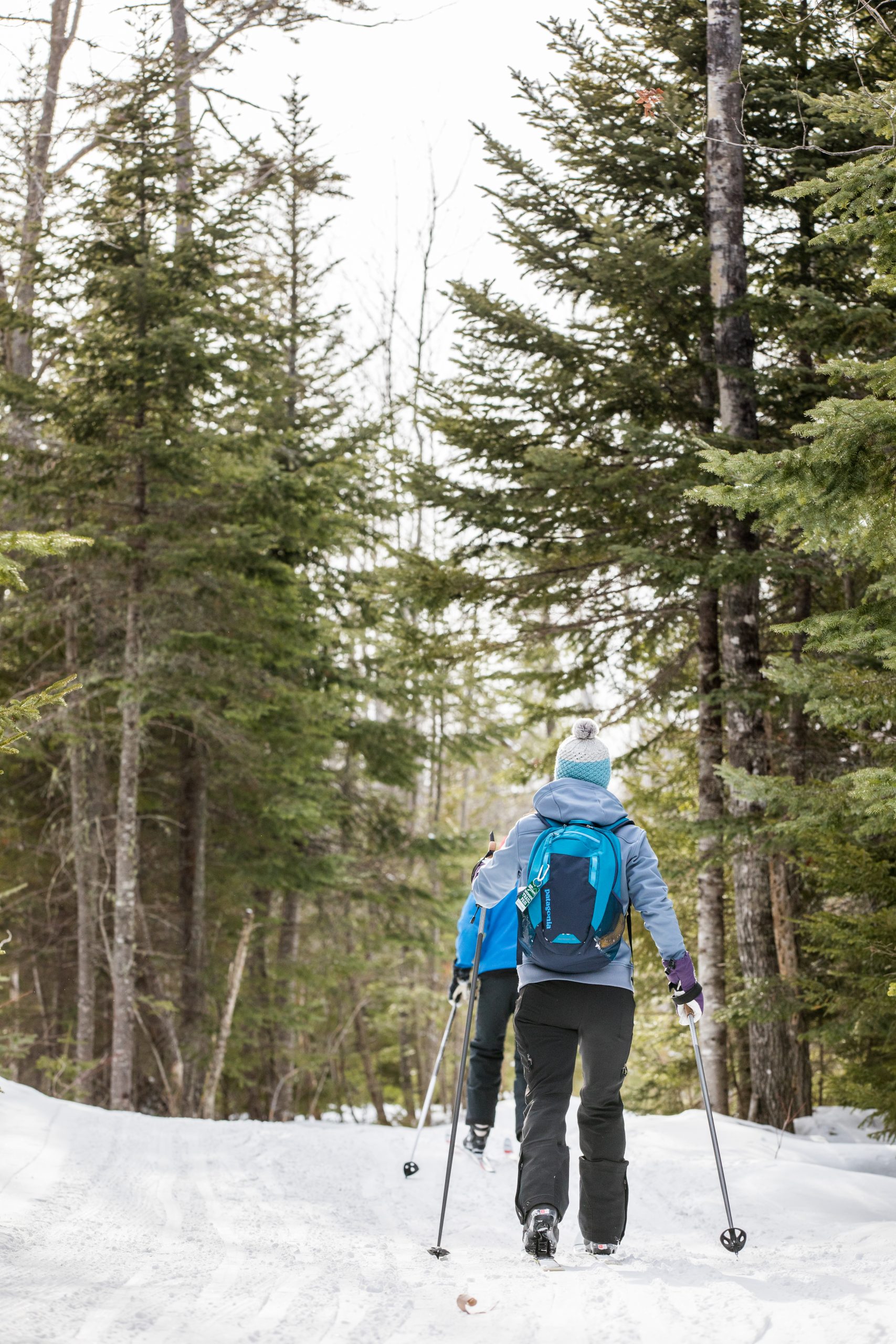 Cross Country skiing on the Main Hut Trail