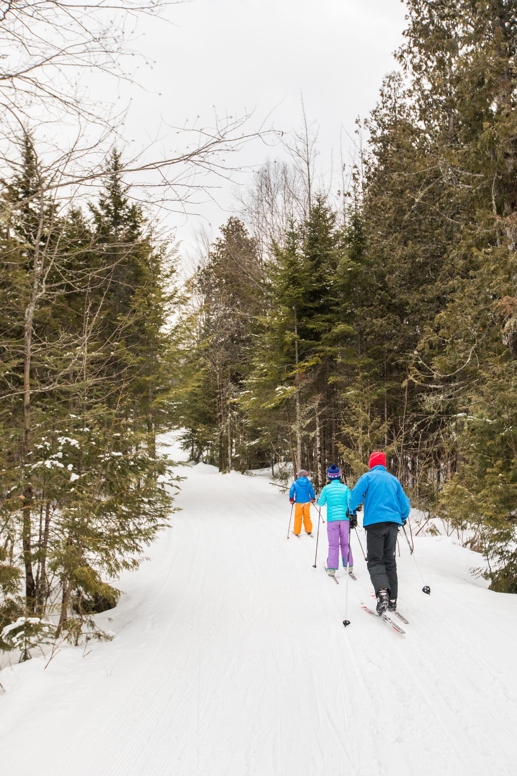 Family skiing on a beginner trail.