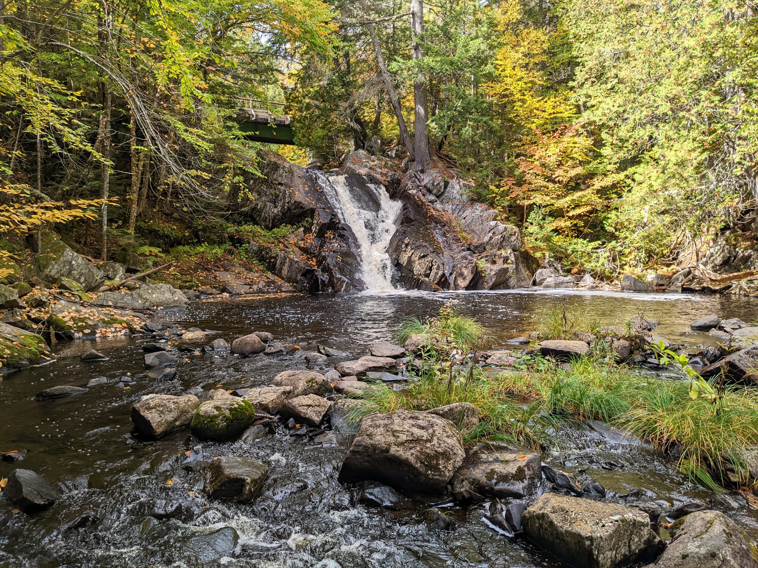 Poplar Stream Falls in summertime from Warren's Trail.