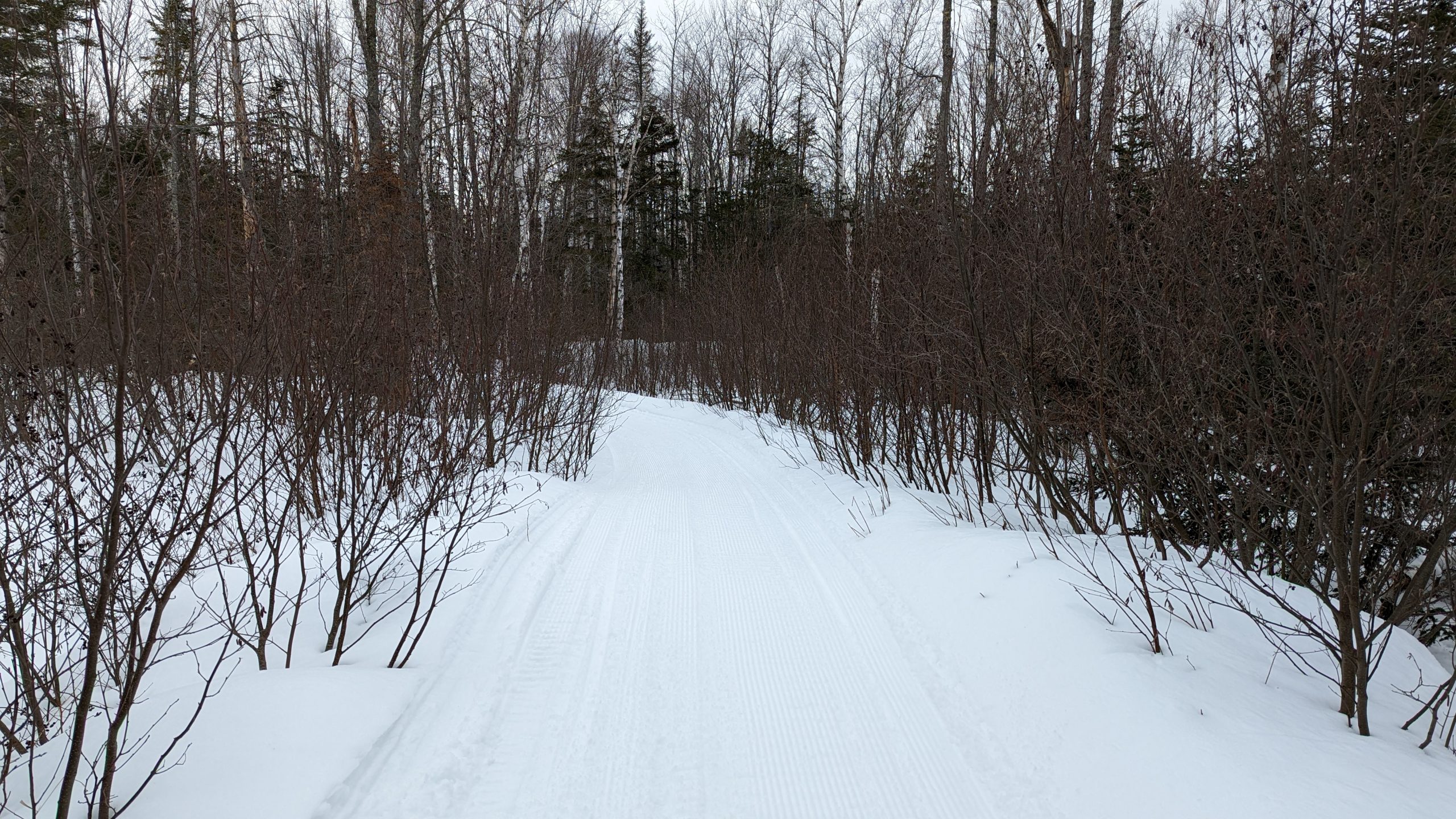 Remote Sticky Trail in winter.