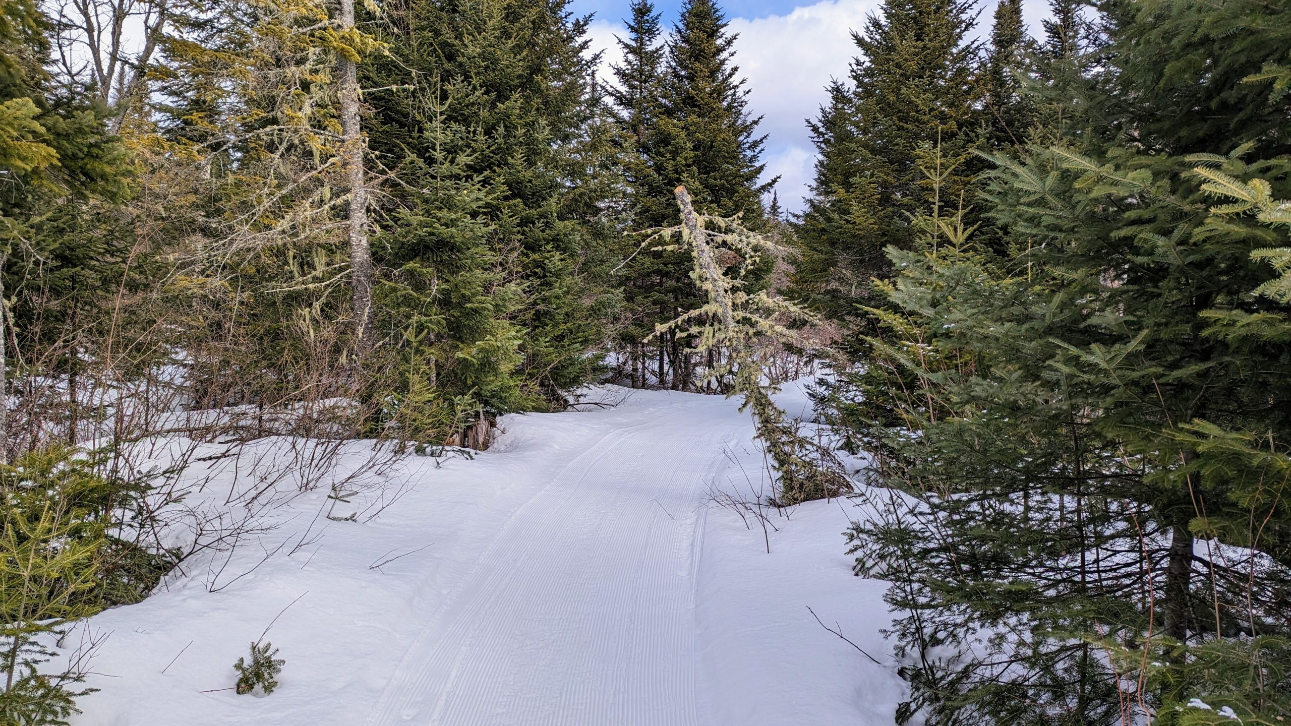 Sticky Trail in winter.