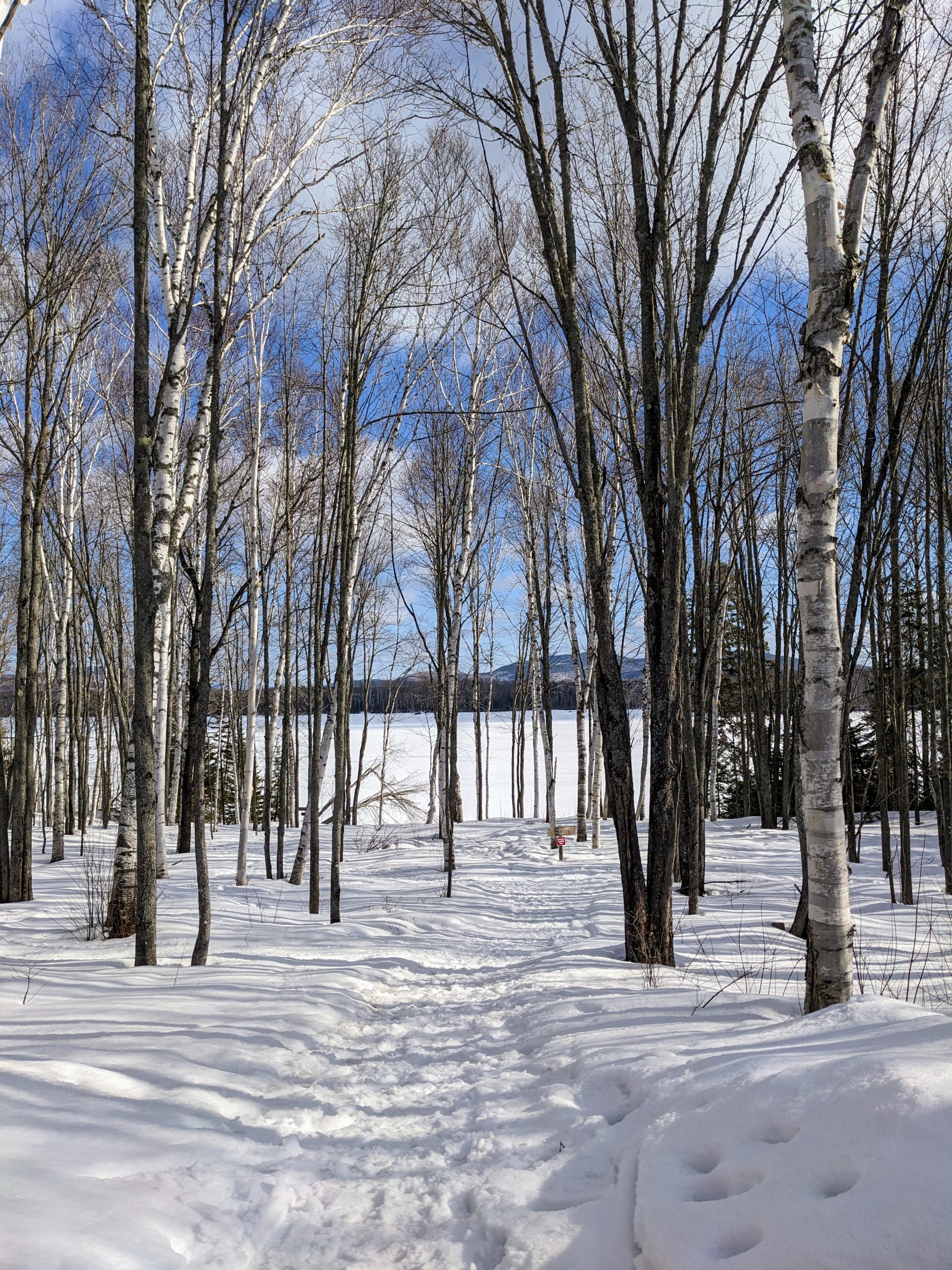 View from the front steps of Flagstaff Lake Hut.