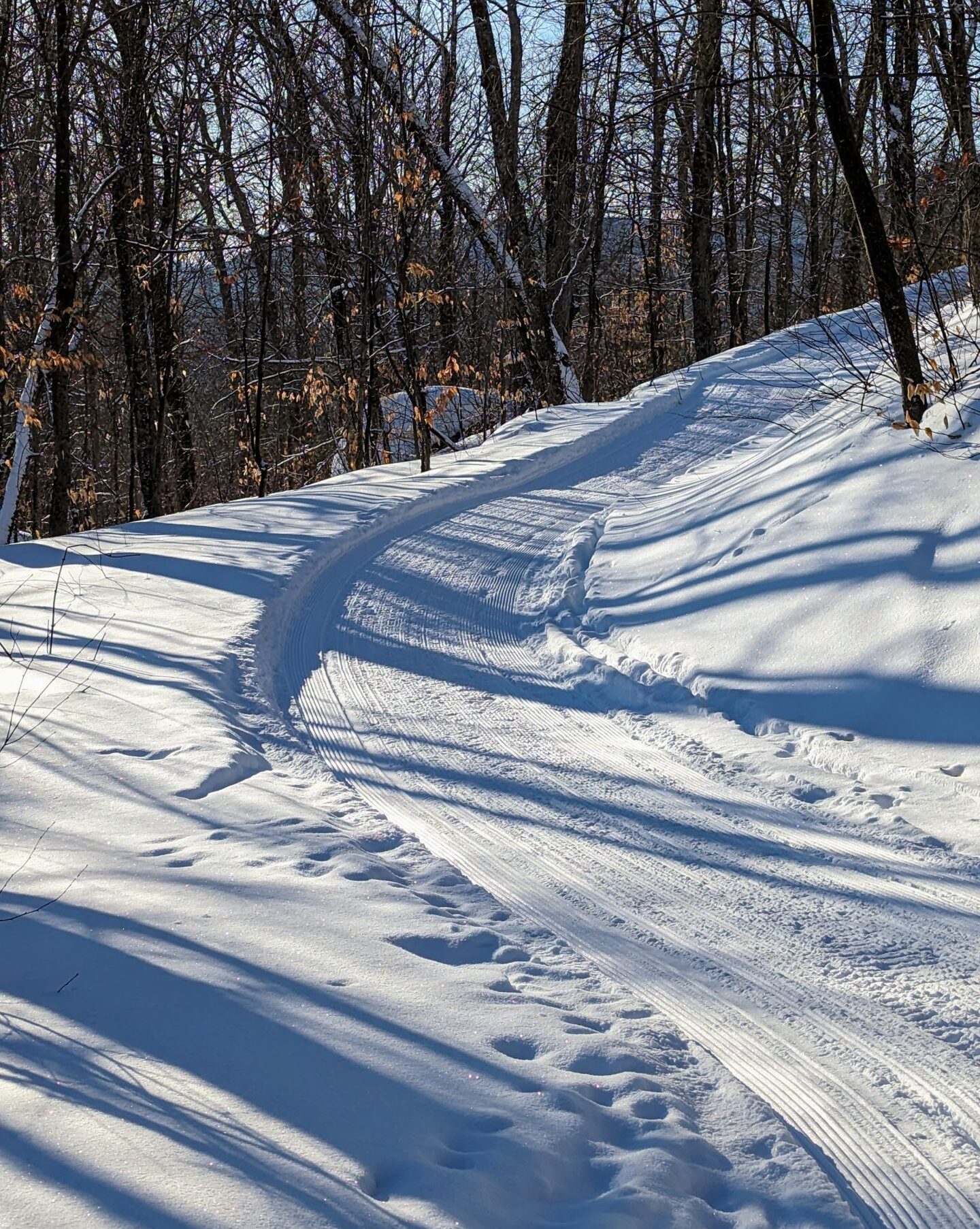 Upper Newton's Revenge Trail groomed in winter.