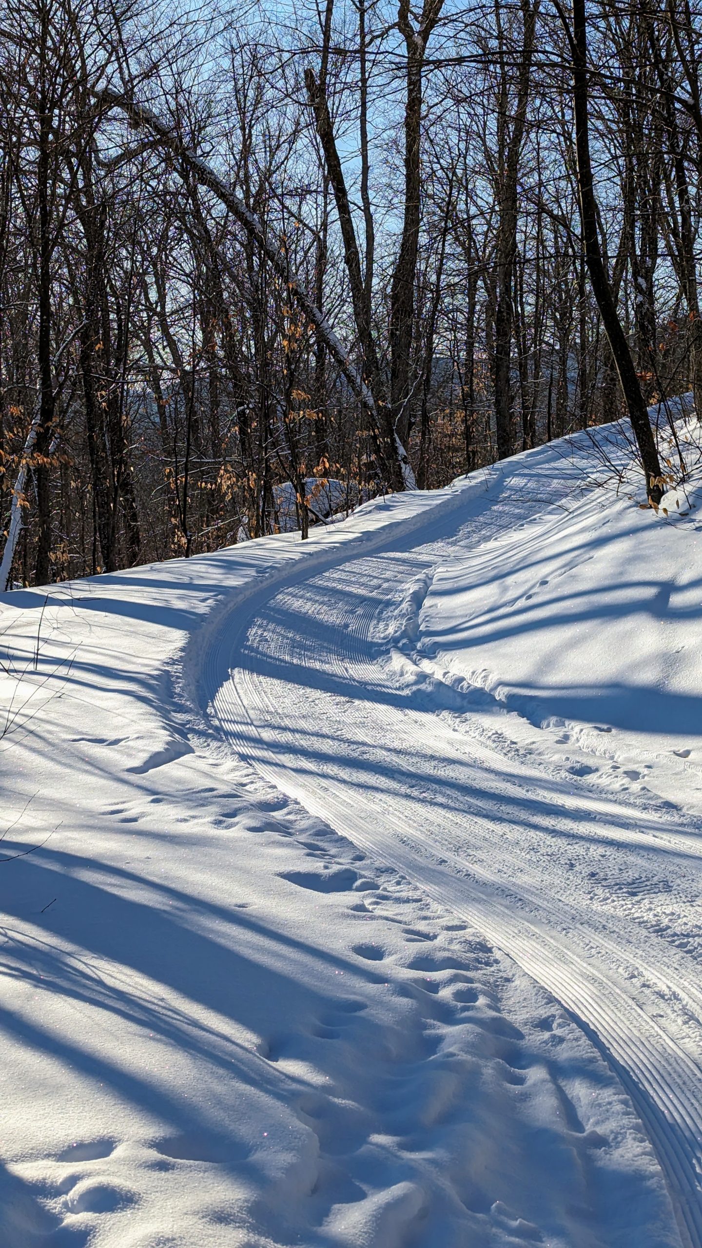 Upper Newton's Revenge Trail groomed in winter.