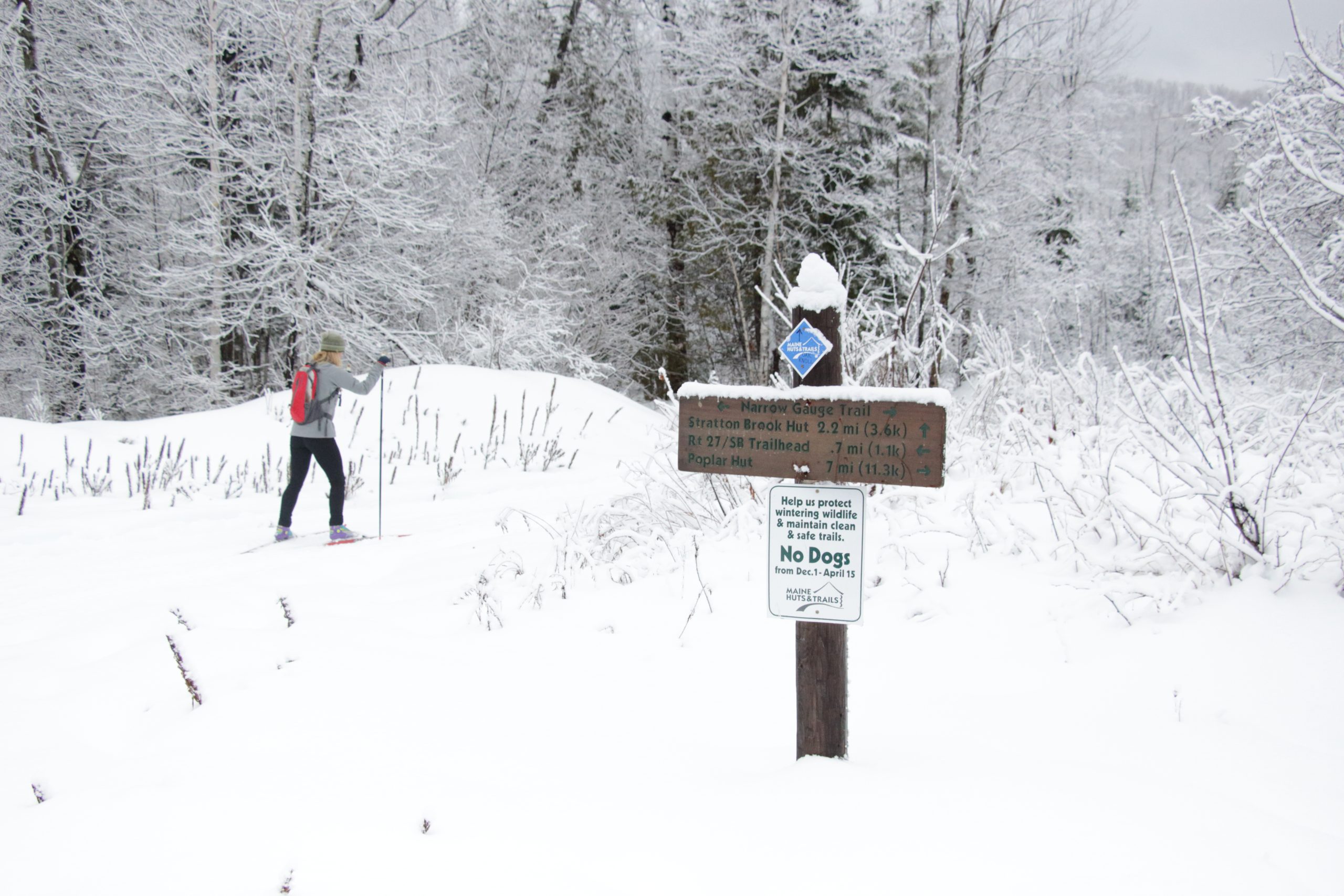 Intersection of Lower Newton's Revenge and the Narrow Gauge Pathway in winter.