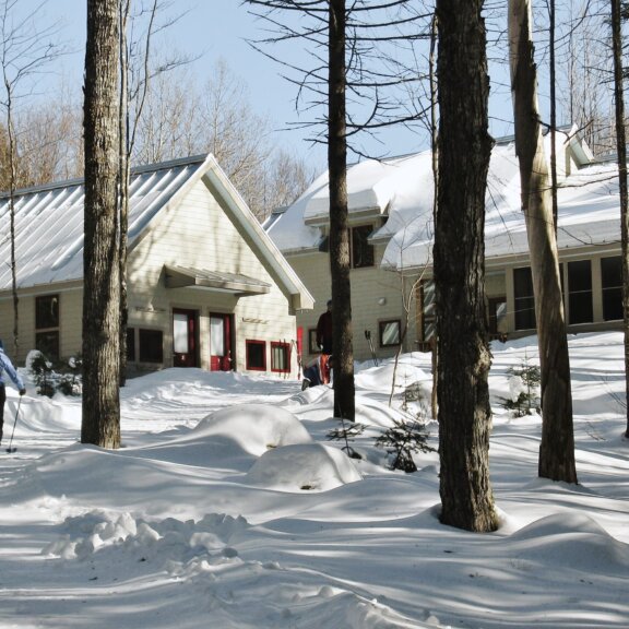 Poplar Stream Hut in winter.