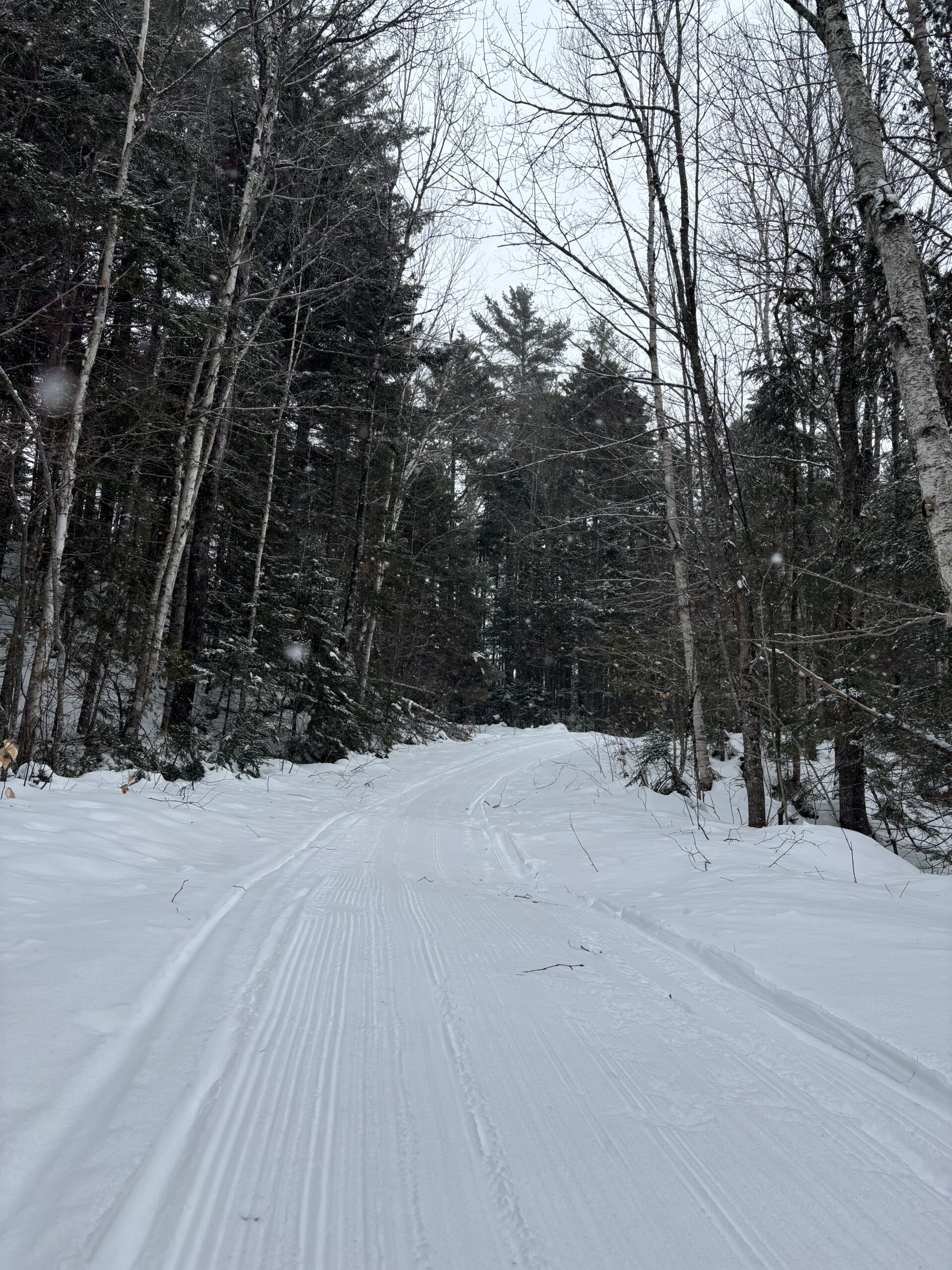 Winter groomed Maine Huts Trail.