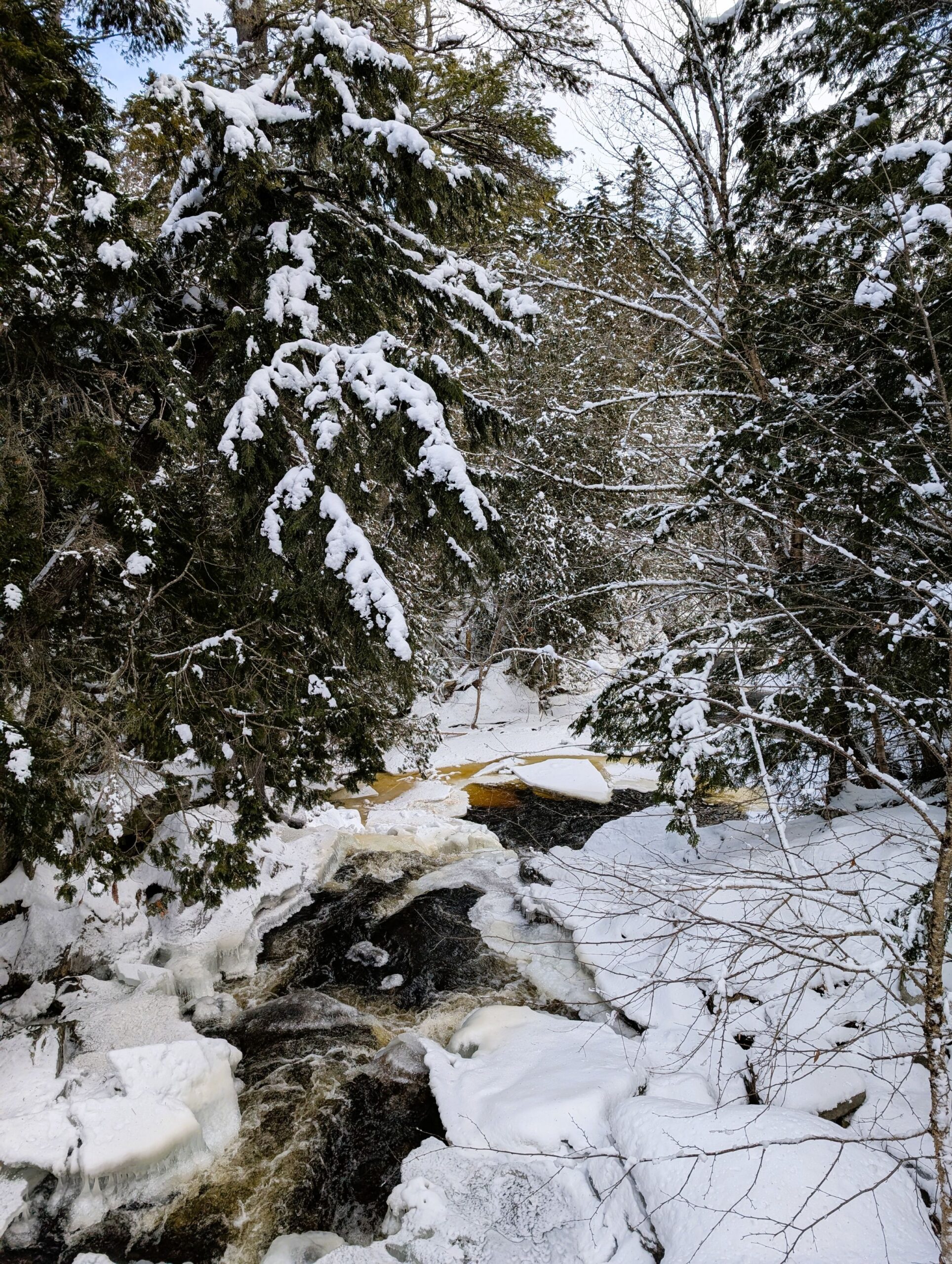 Snowshoe to Poplar Stream Hut and Waterfalls ~ Maine Huts & Trails