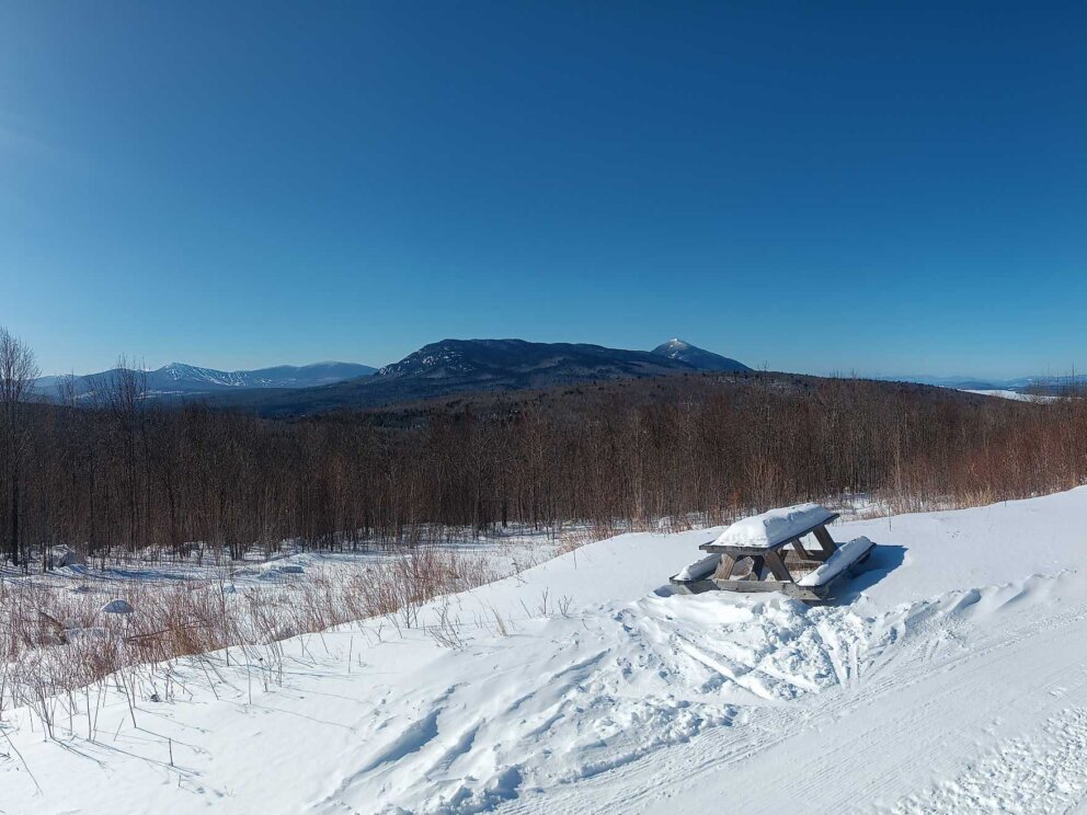 View from the Vista above the Halfway Yurt.