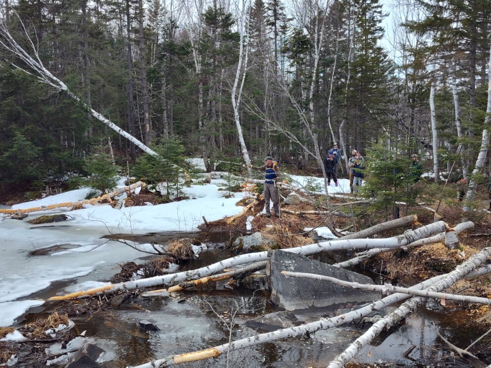 Tracks and Trails winter hike around Flagstaff Lake Hut