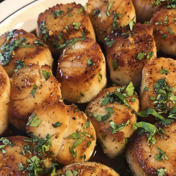 Scallops