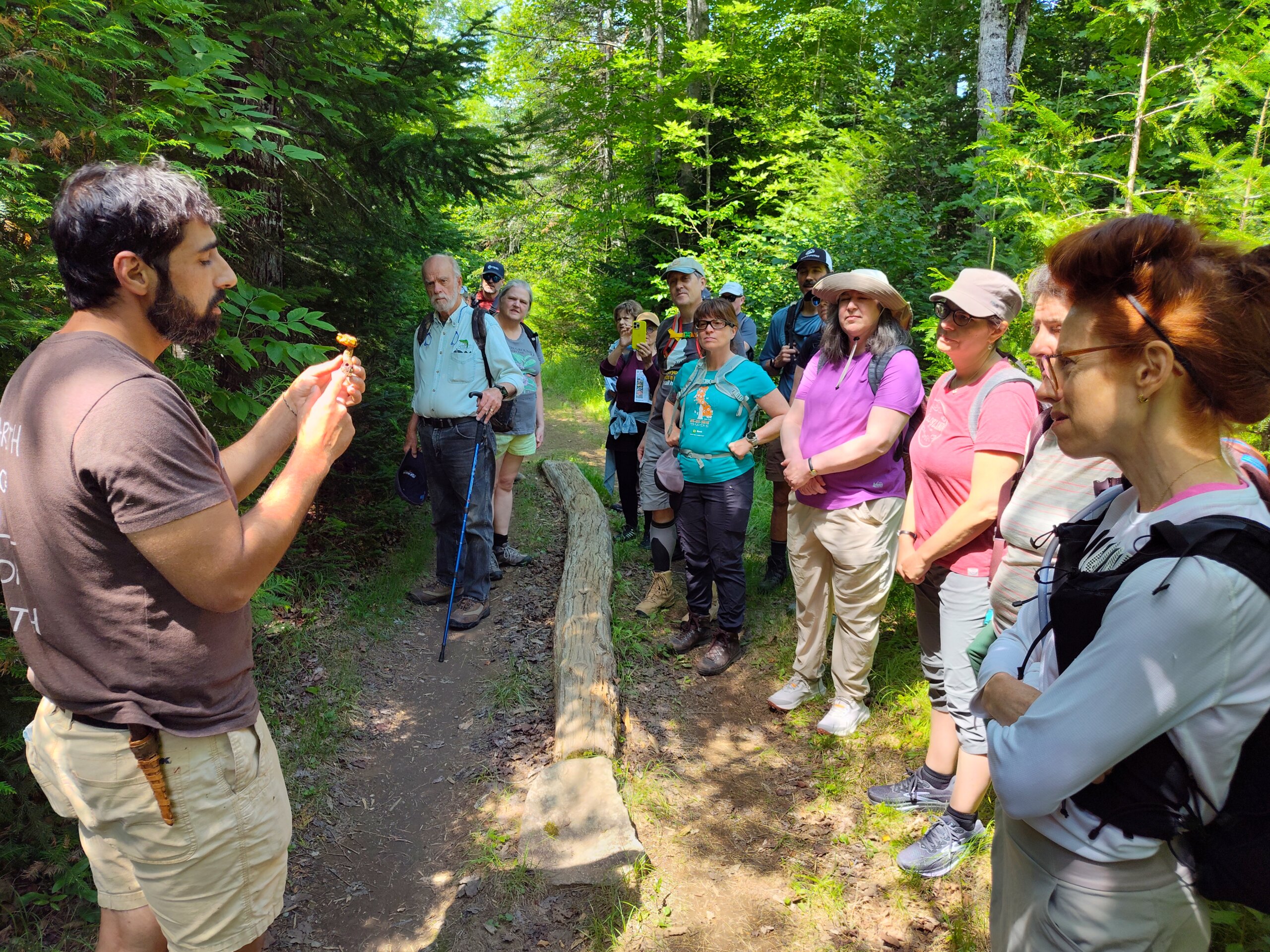 Mushroom foraging with Zack at Forest & Forage