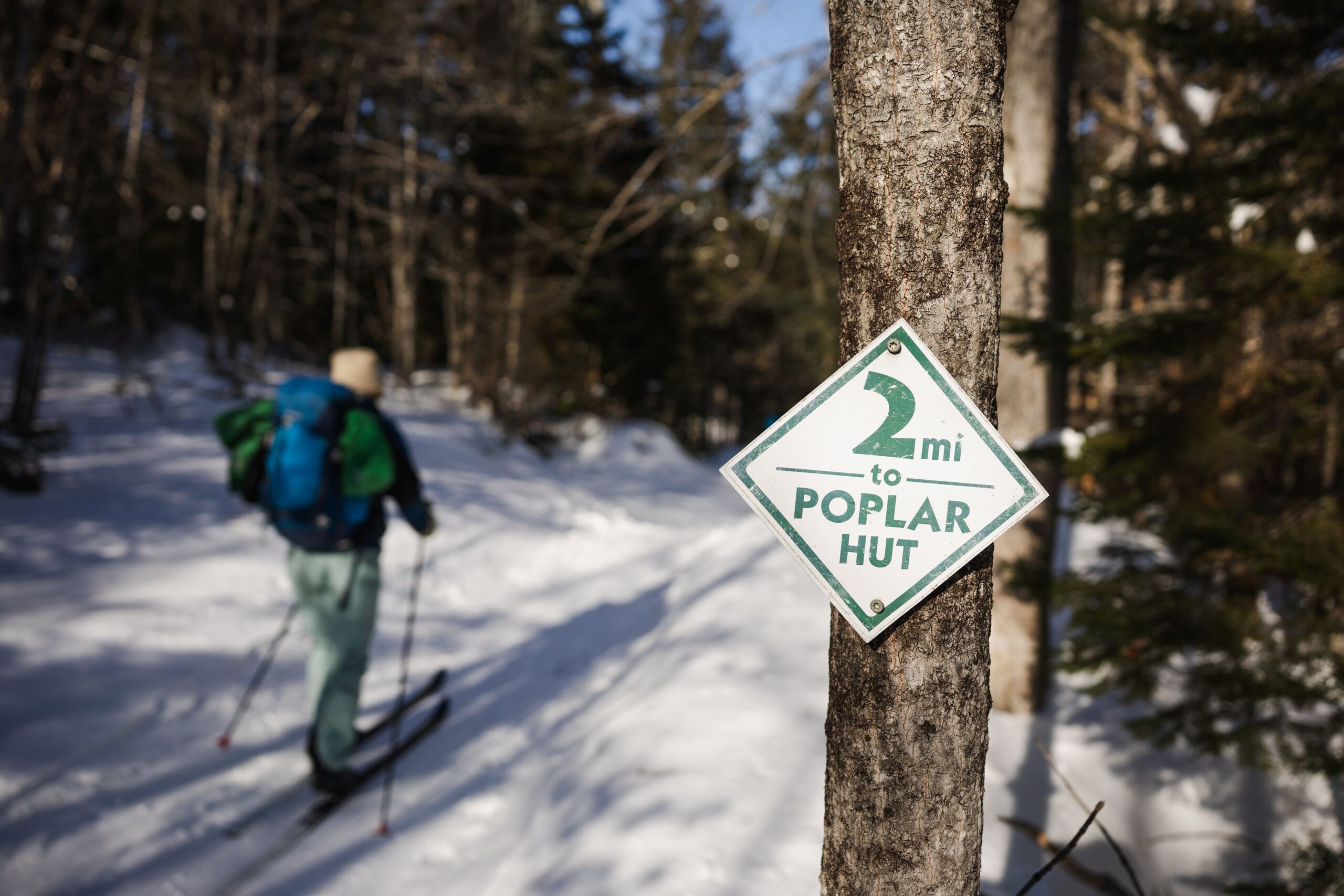 Skier and trail sign on Poplar Stream Trail