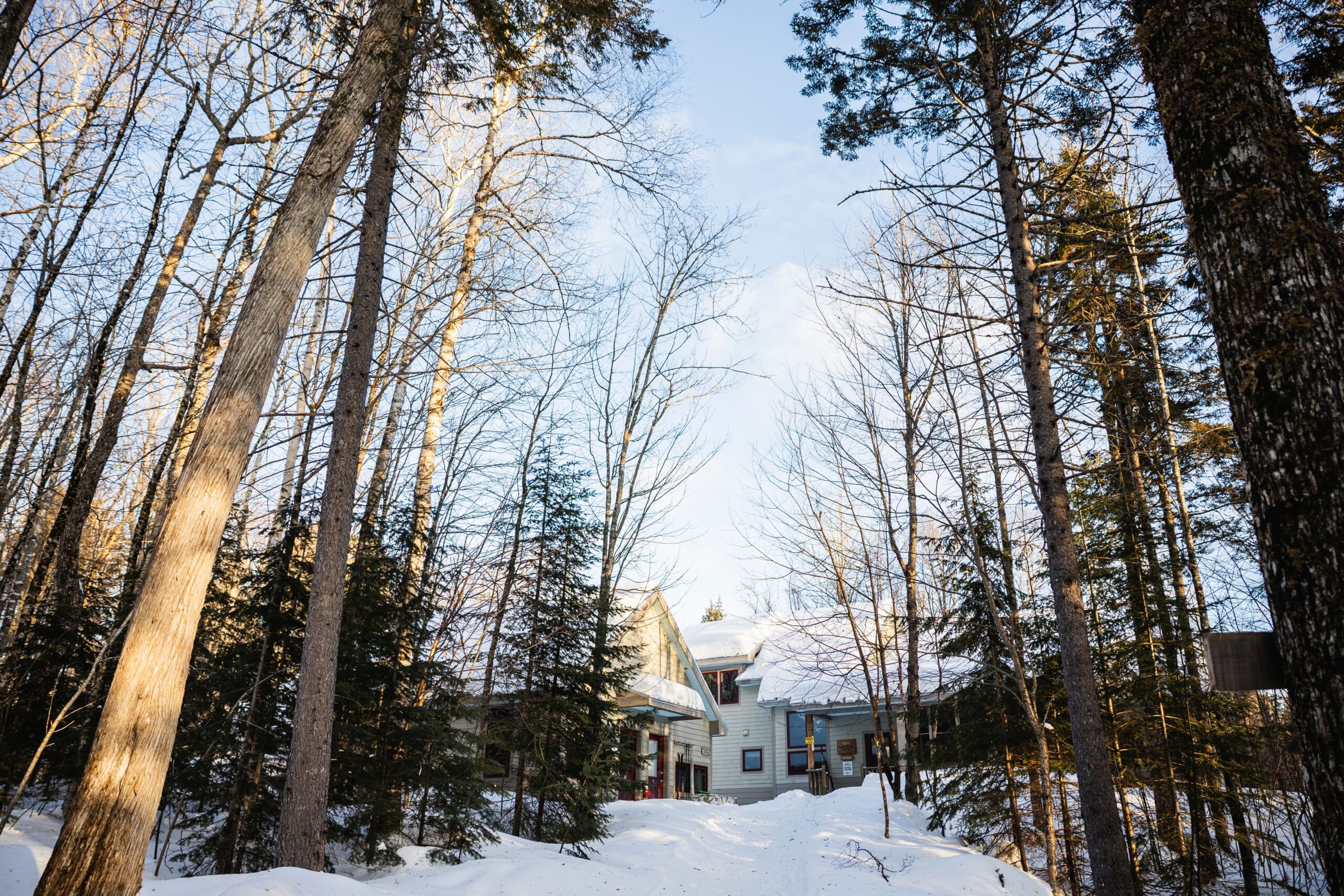 Poplar Stream Hut in winter