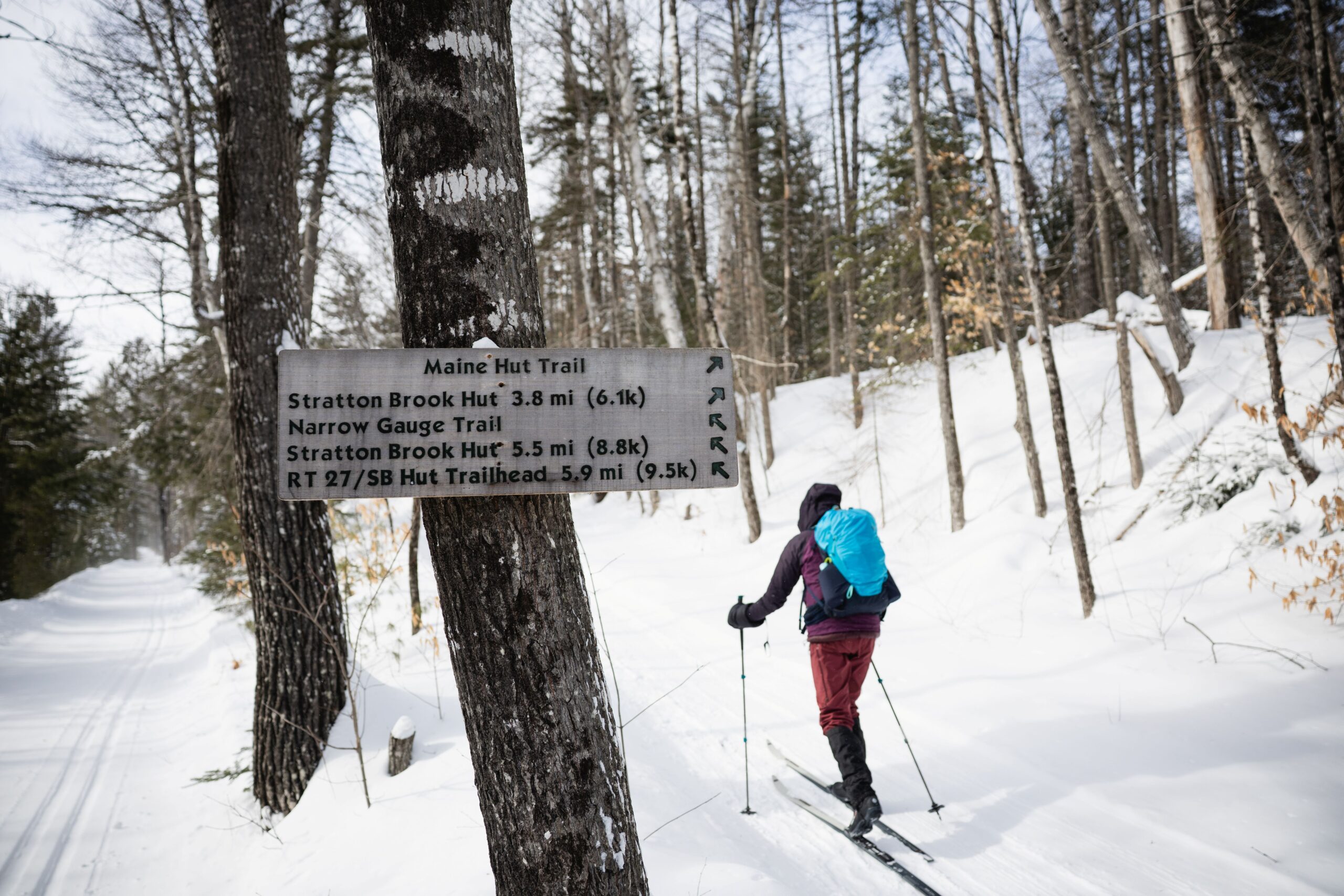 Skier on Crommett's Overlook Trail with trail signs