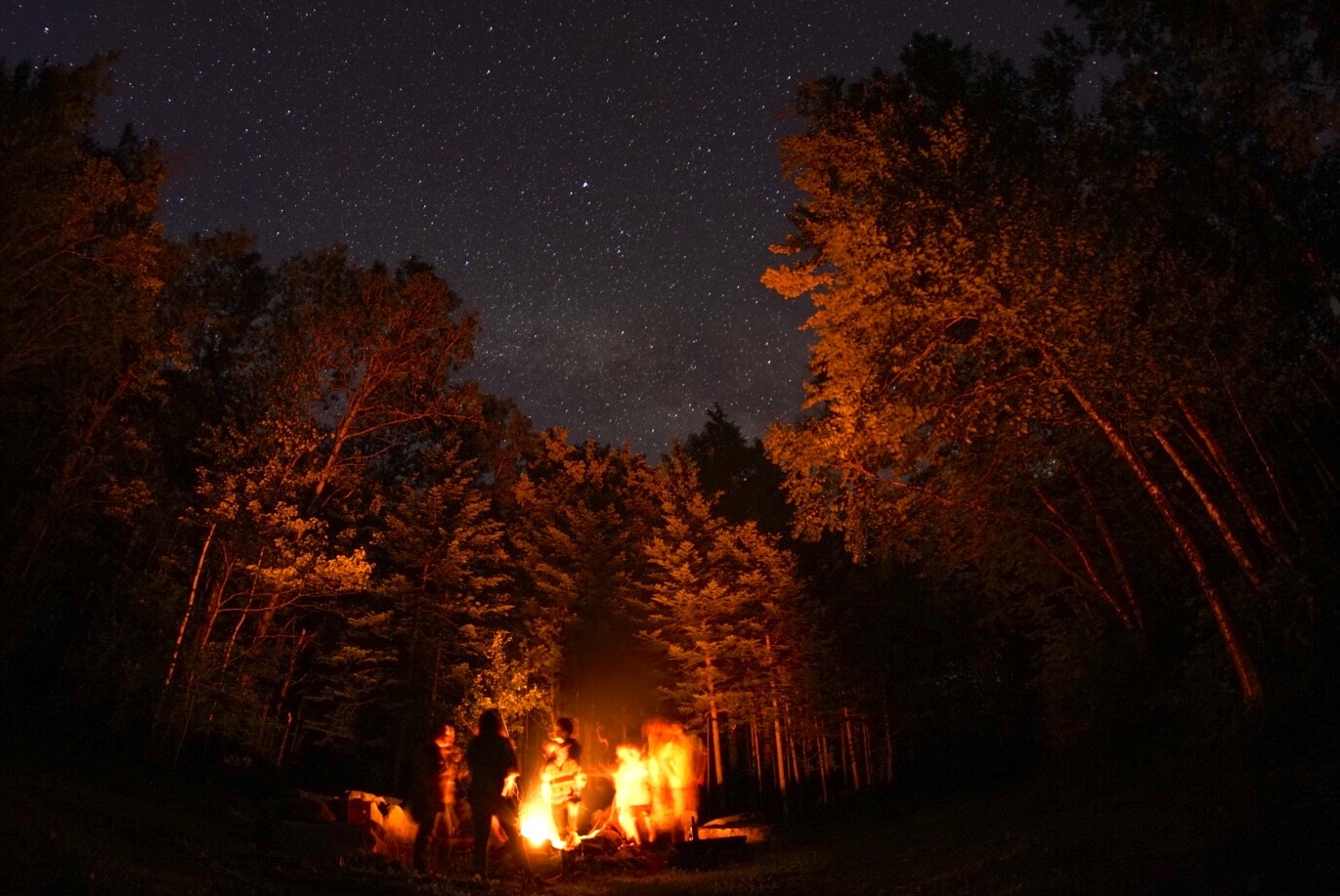 Outdoor nighttime fire in the firepit at Poplar Stream Hut.