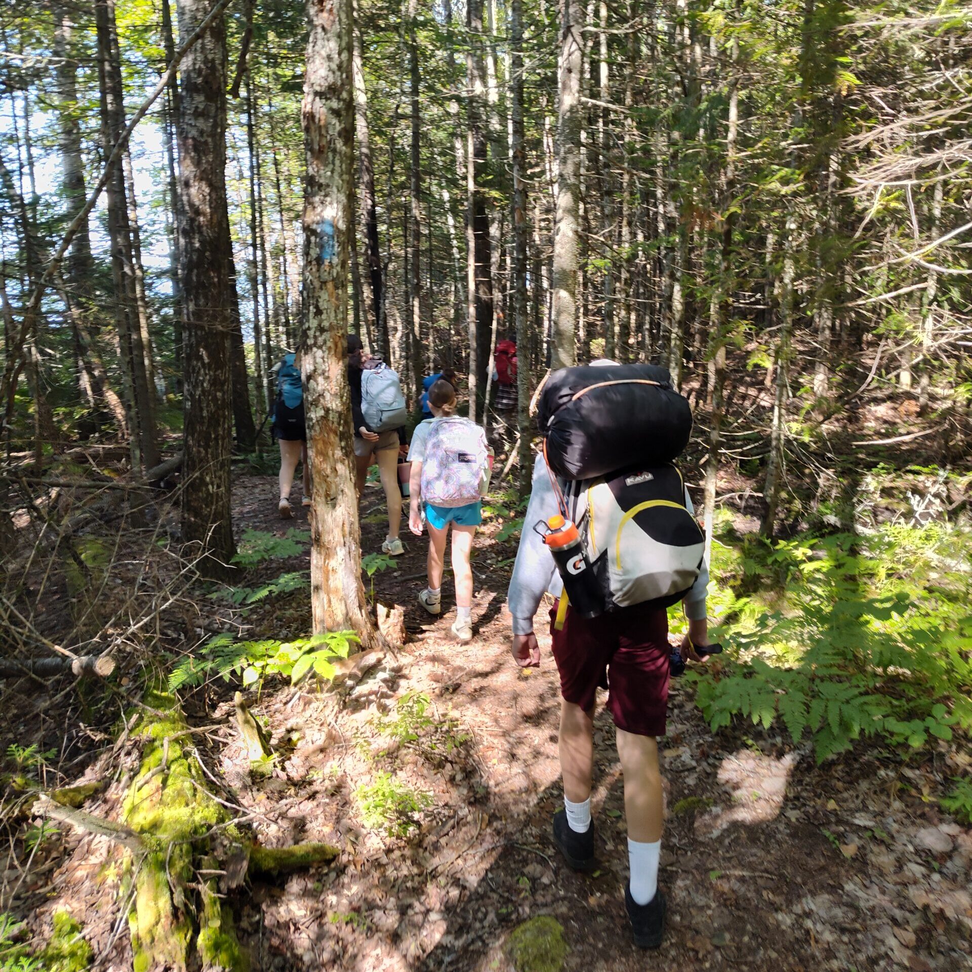 Hiking on the Shore Trail