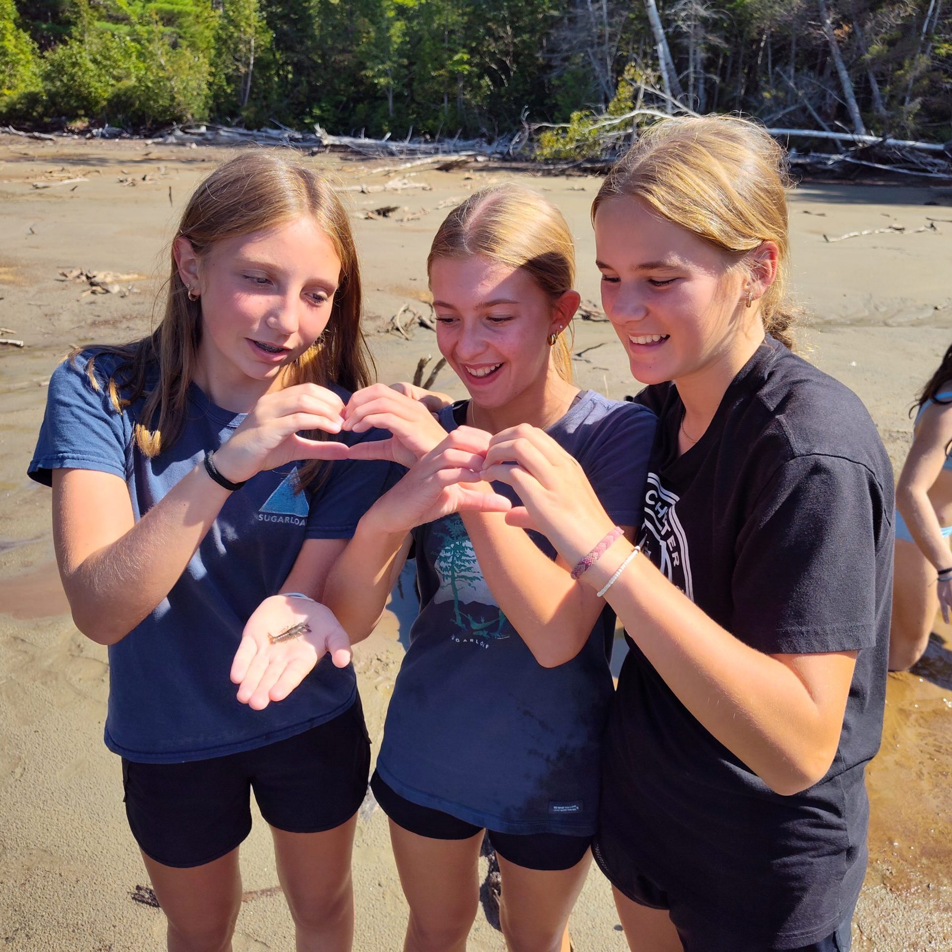 School students with a crayfish found on the beach