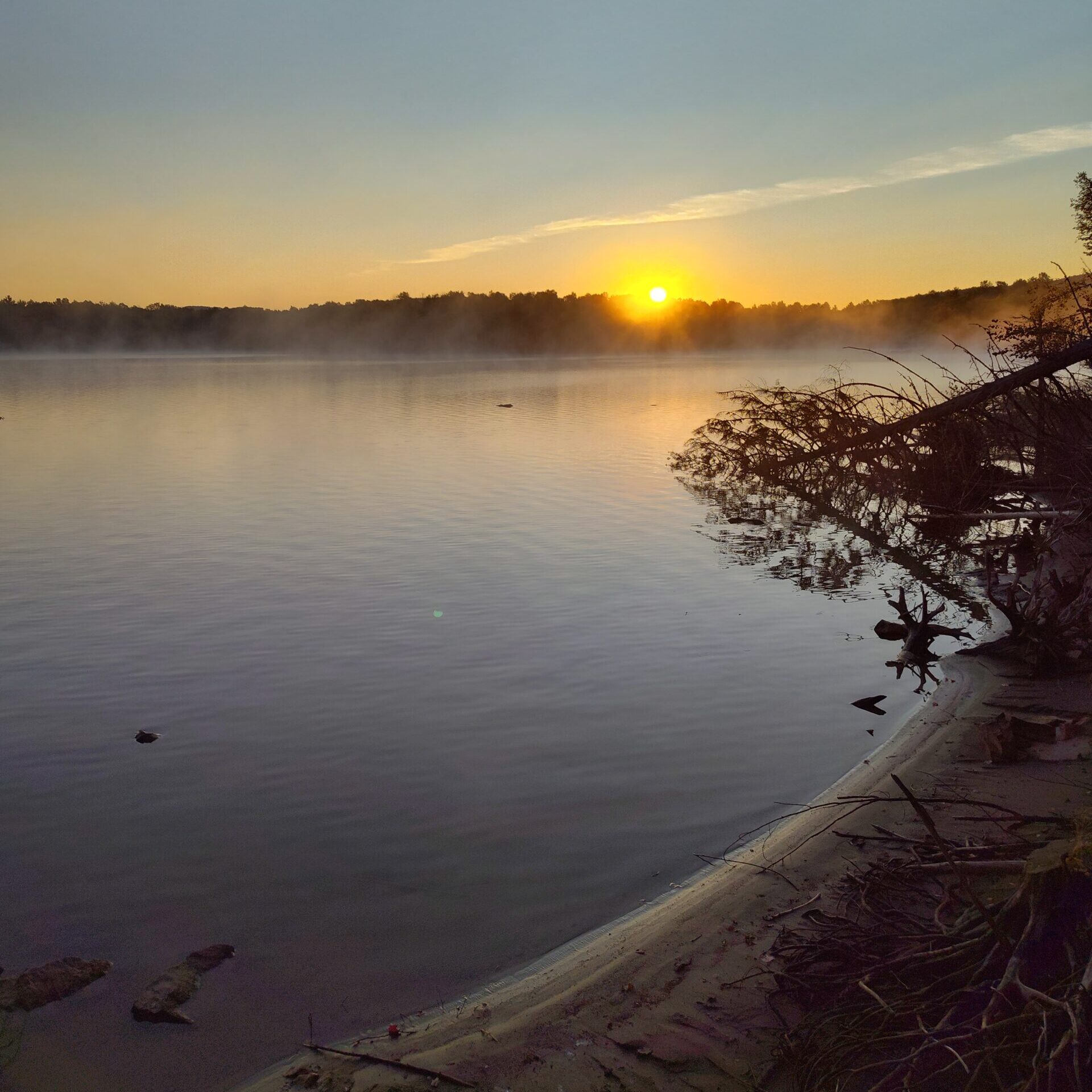 Sunrise from Flagstaff Lake Hut