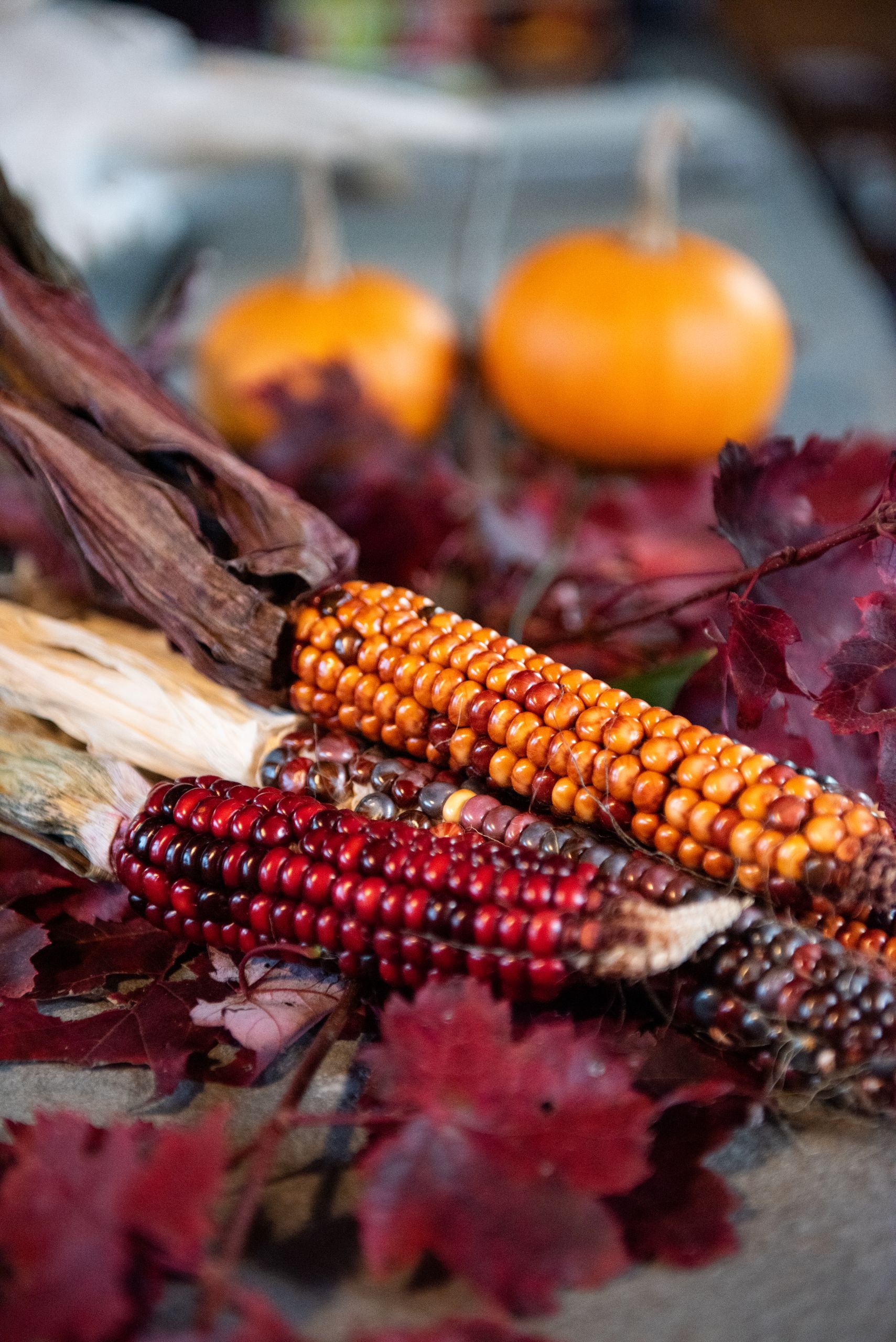 Decorative corn and pumpkins