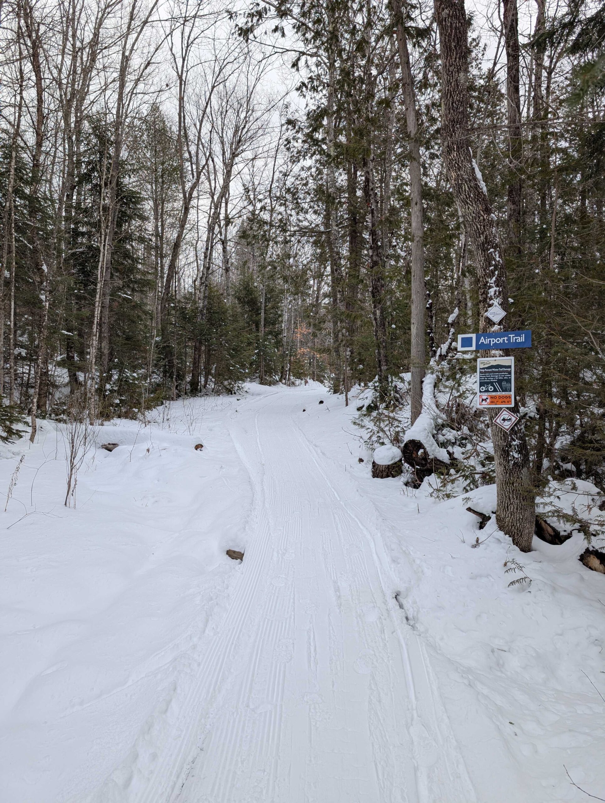 Airport Trail groomed in winter.