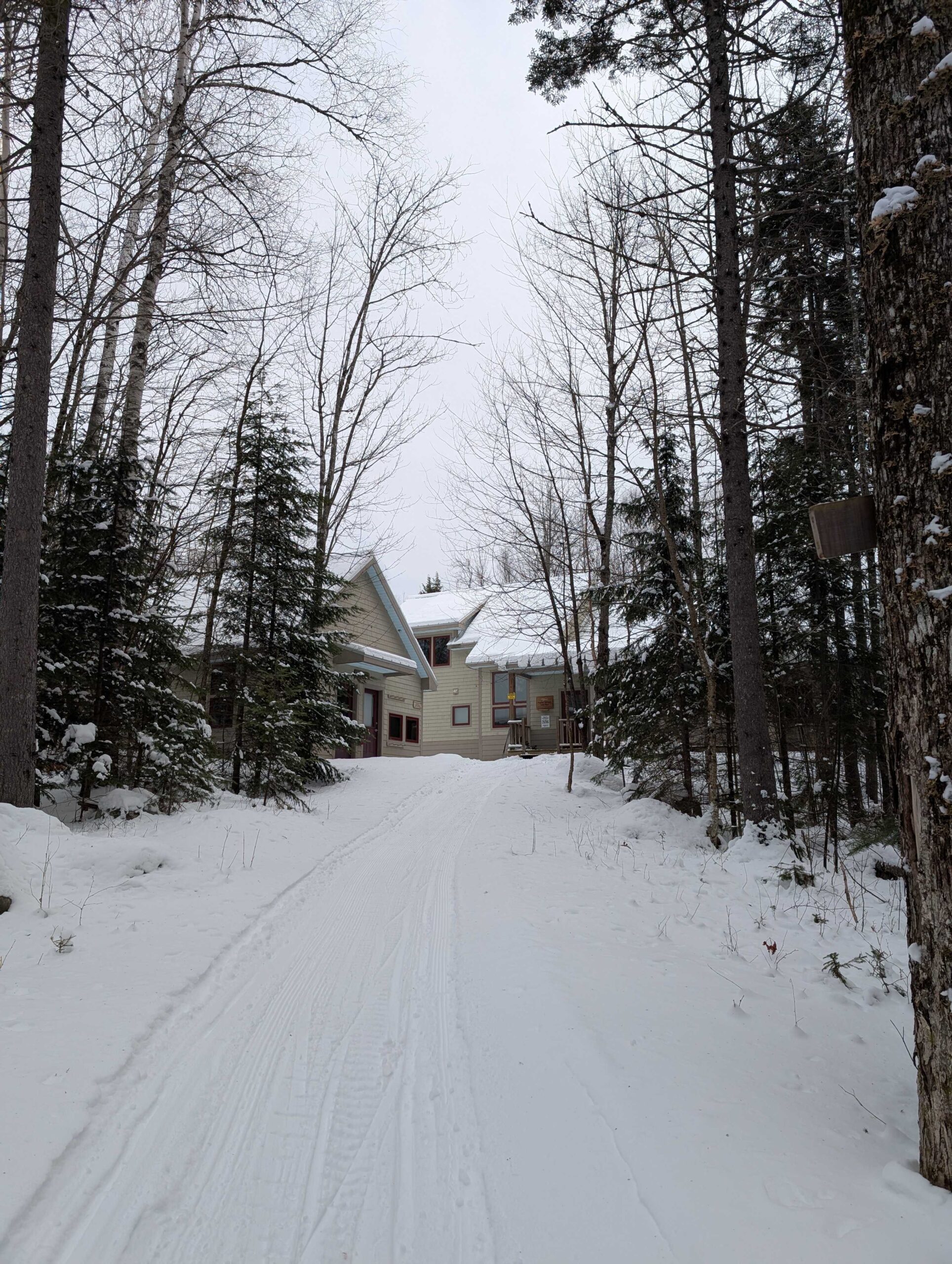 Snowy trail in winter to Poplar Stream Hut