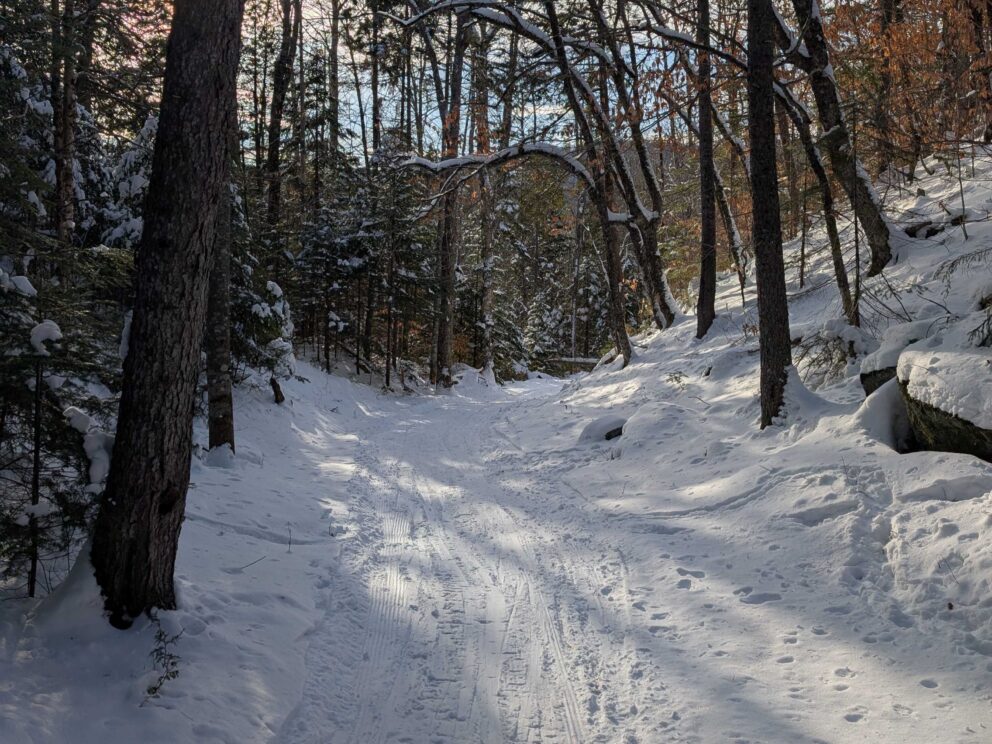 Airport Trail groomed in winter.