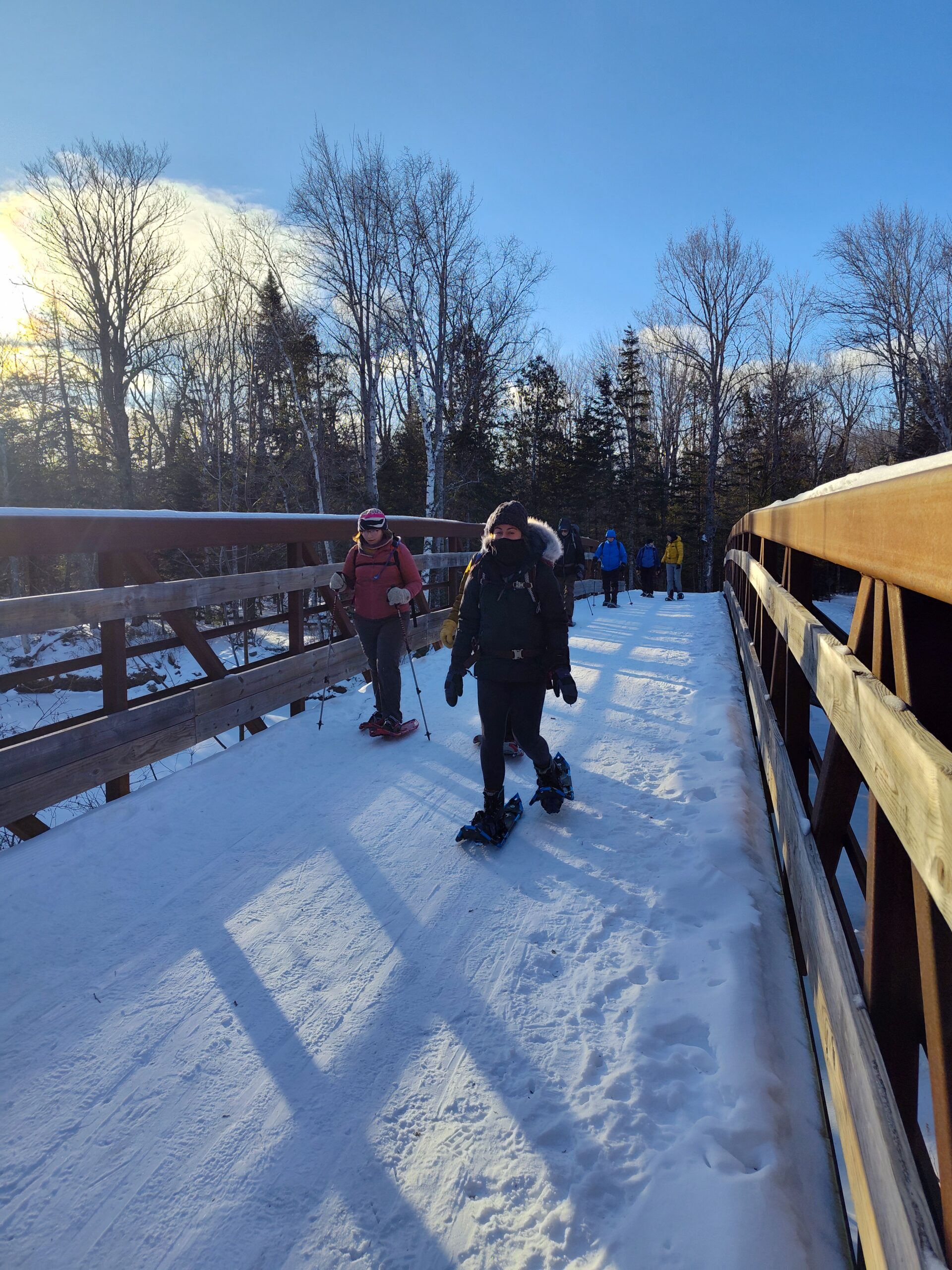 Guided group snowshoe