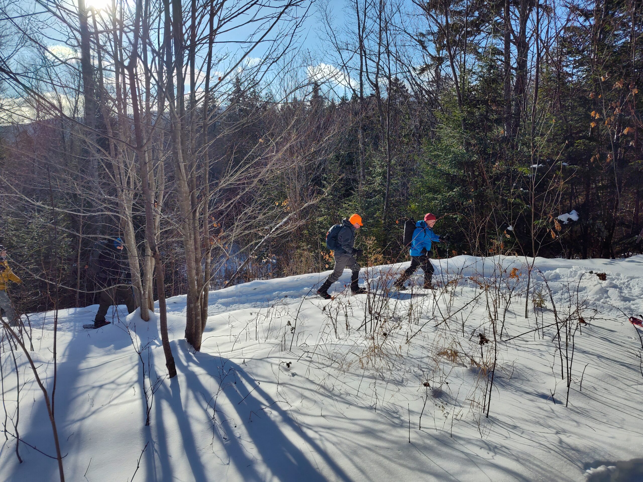 Group snowshoe on Oak Knoll Trail