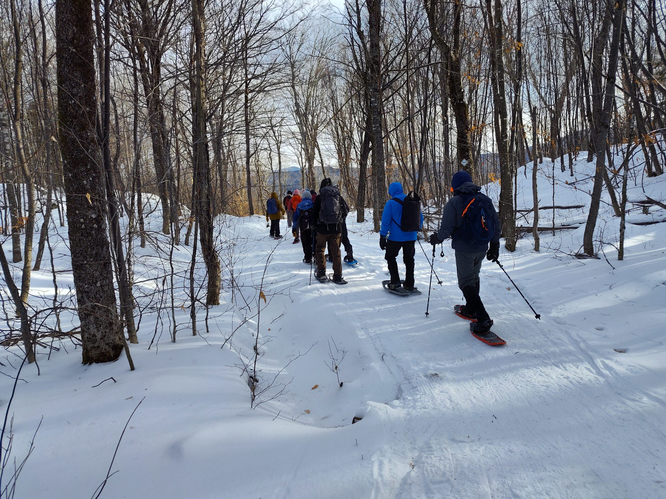 Group snowshoe on Newton's Revenge Trail