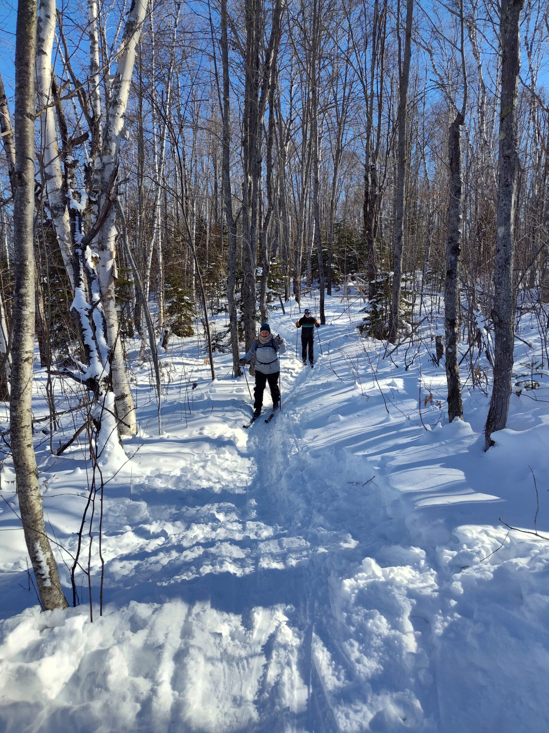 Cross country skiing on the Shore Trail