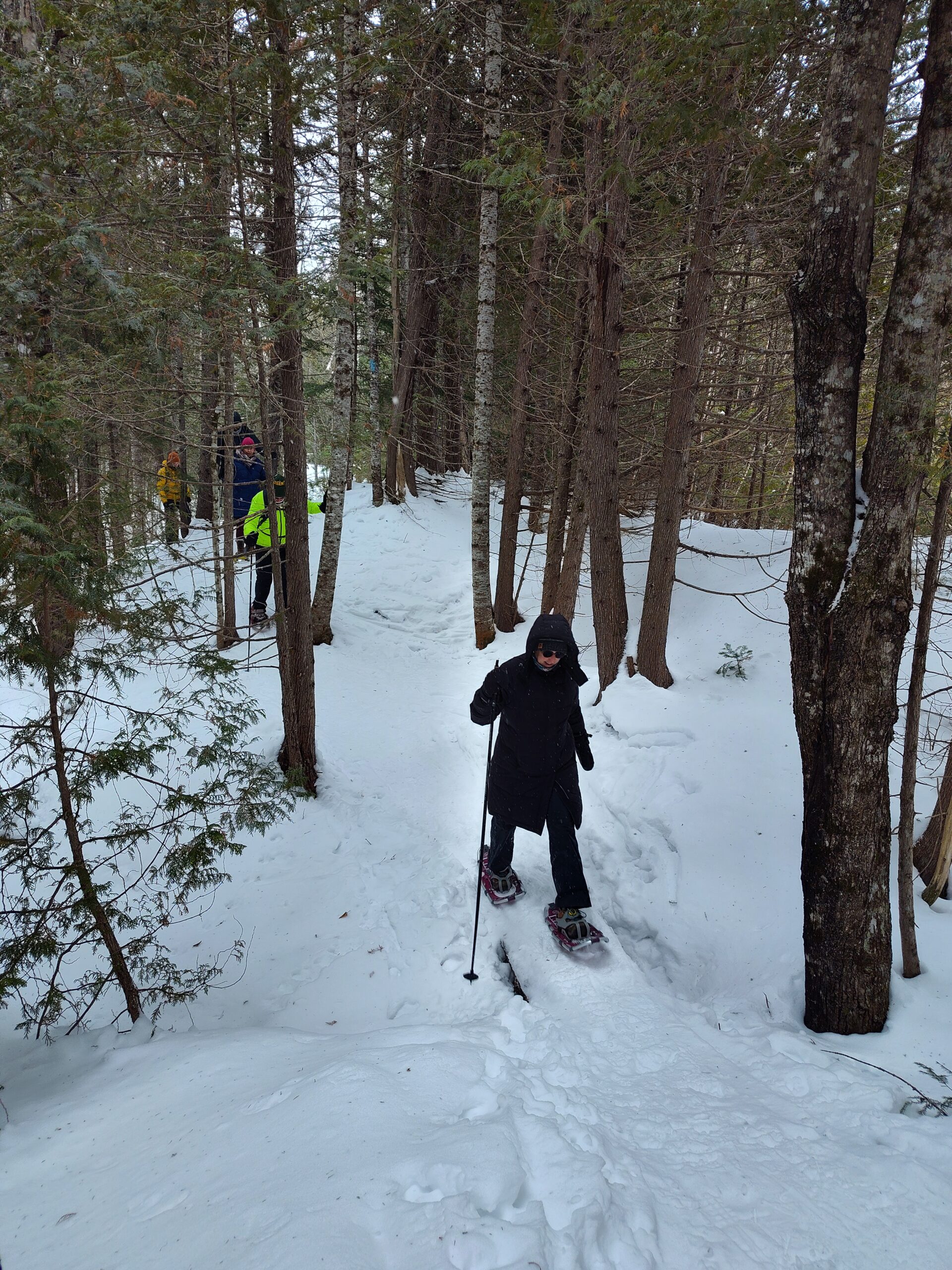 Snowshoeing on the Shore Trail.