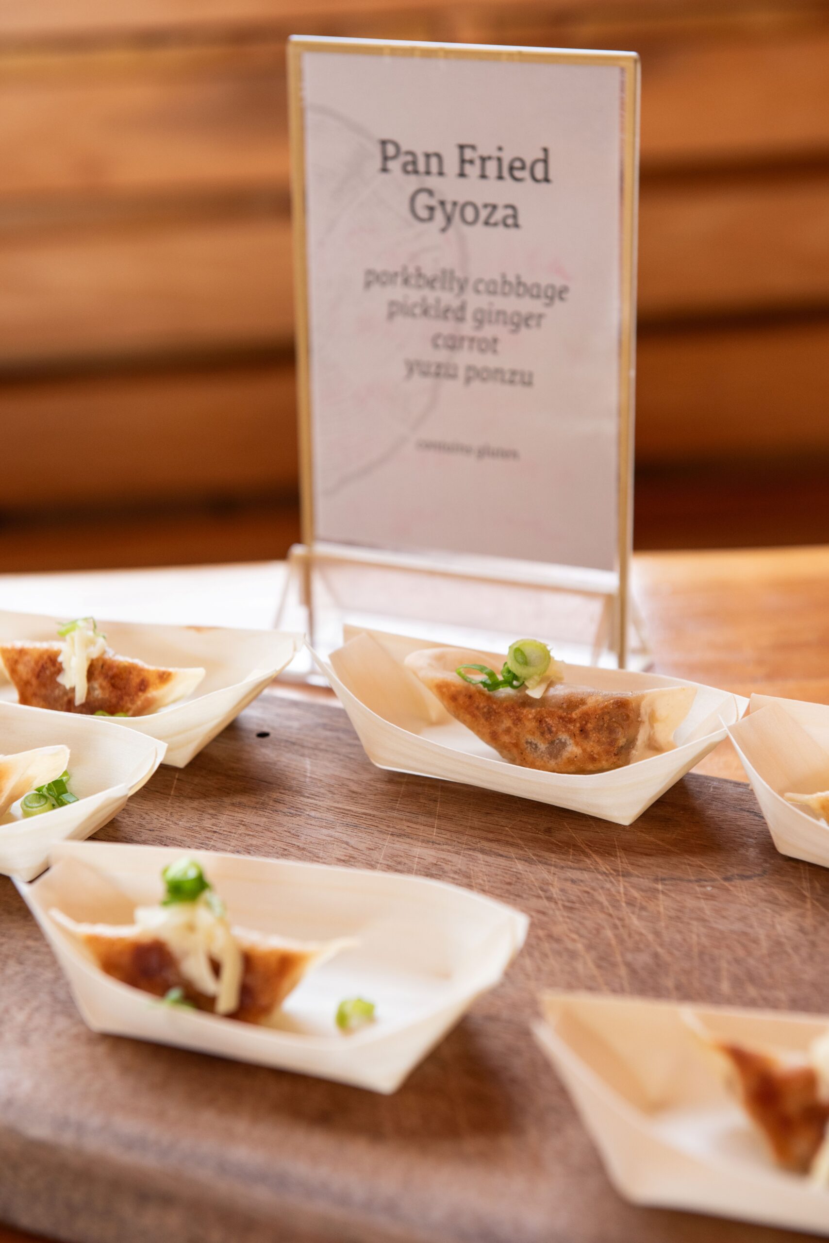 Gyoza at Alpine Feast 2026