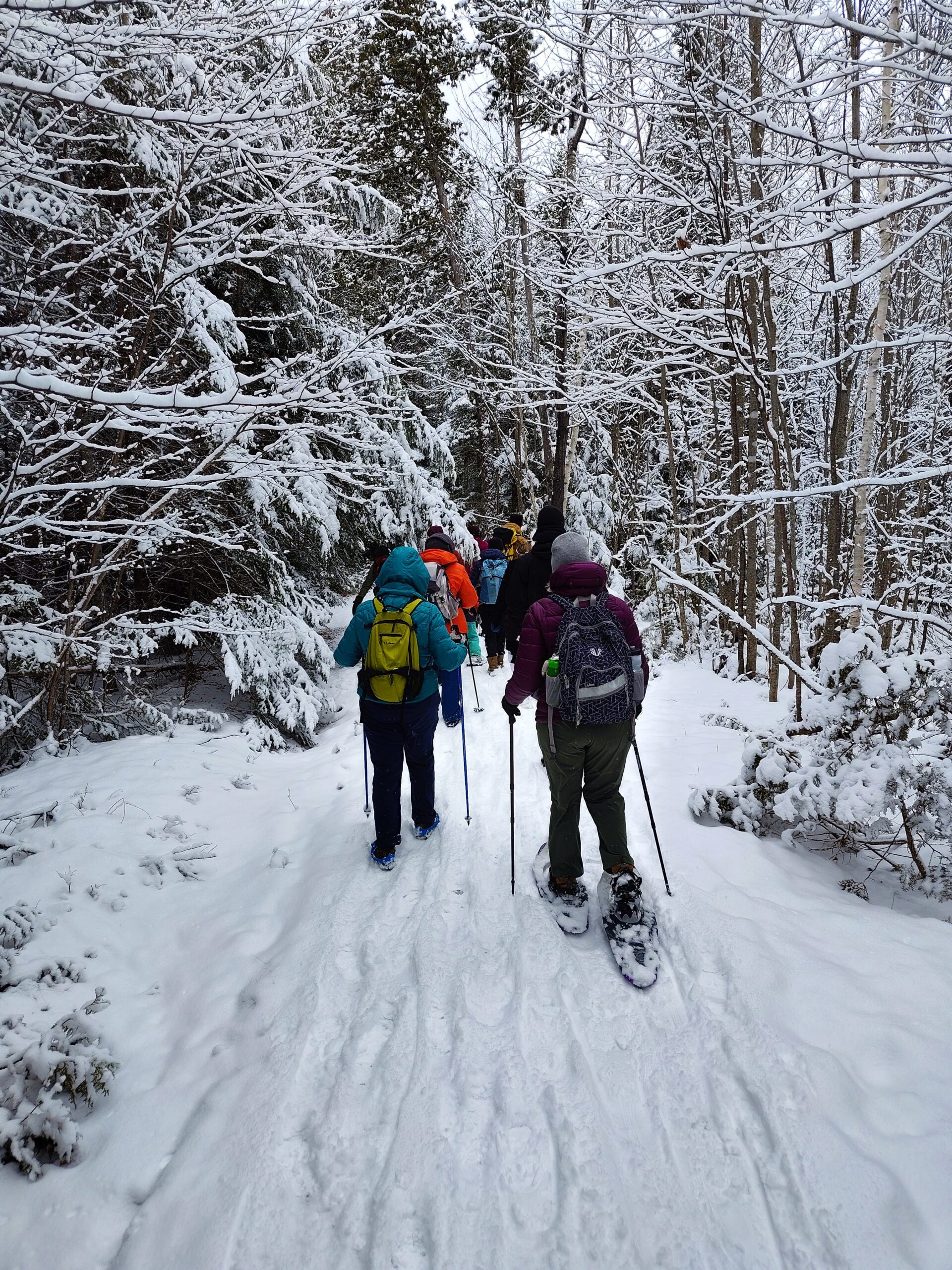 Tracks and Trees guided snowshoe with Bob Duport