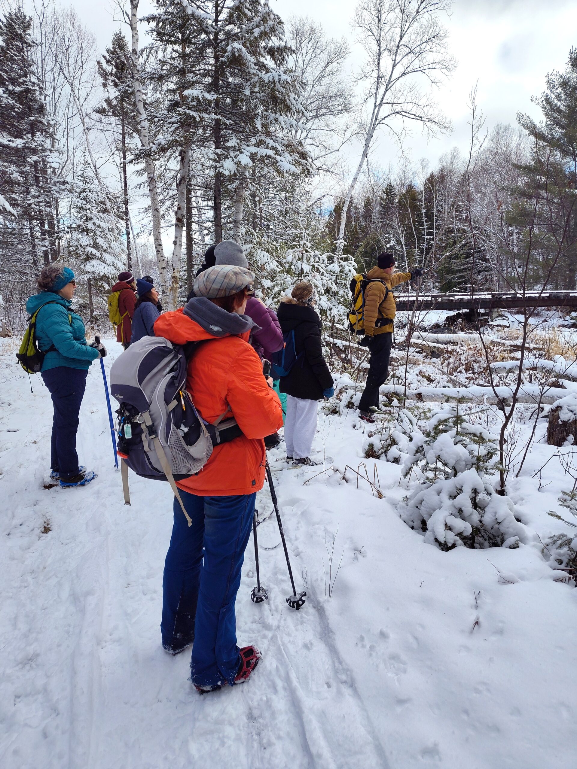 Tracks and Trees guided snowshoe with Bob Duport.